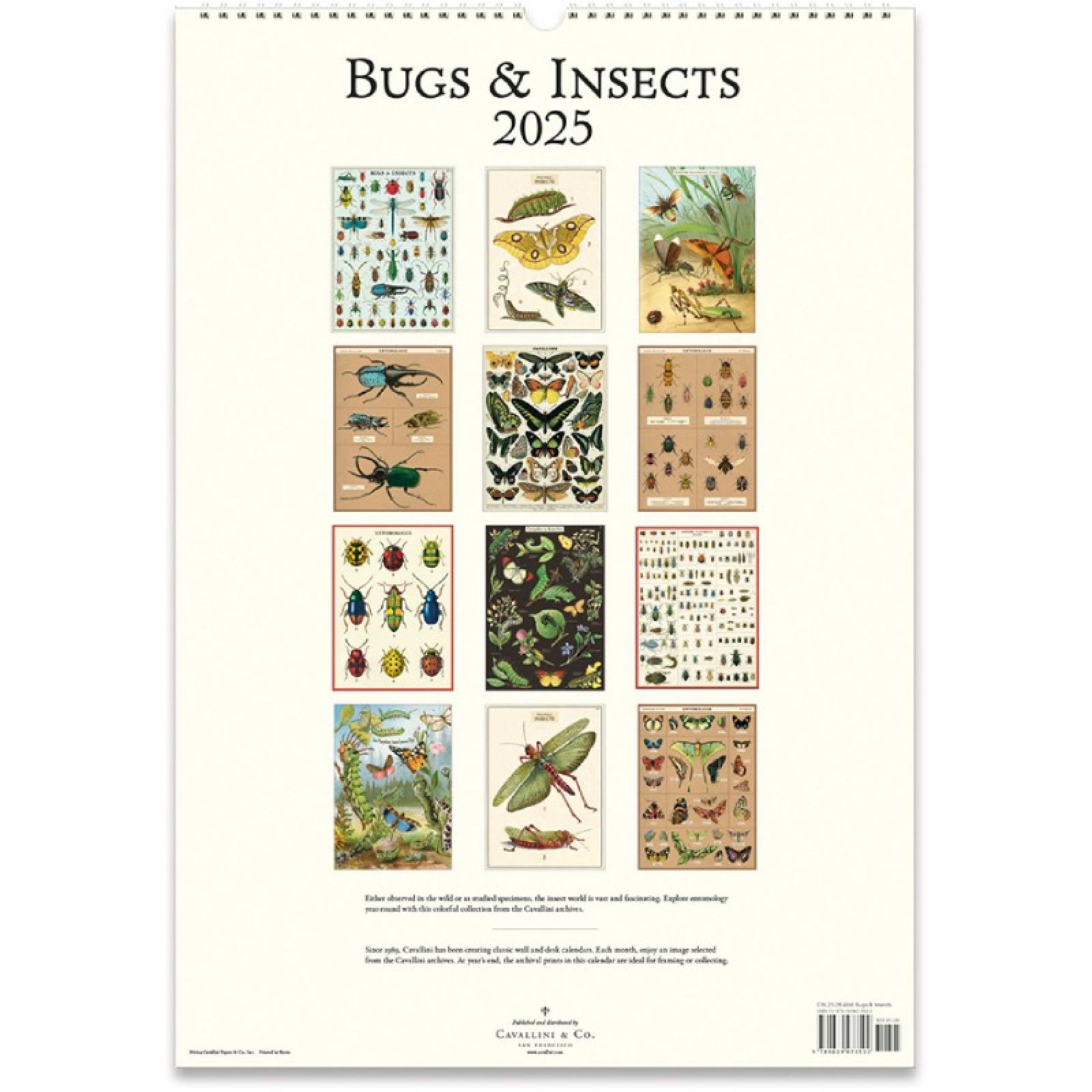 Bugs & Insects Wall Calendar By Cavallini 2025 thumbnails