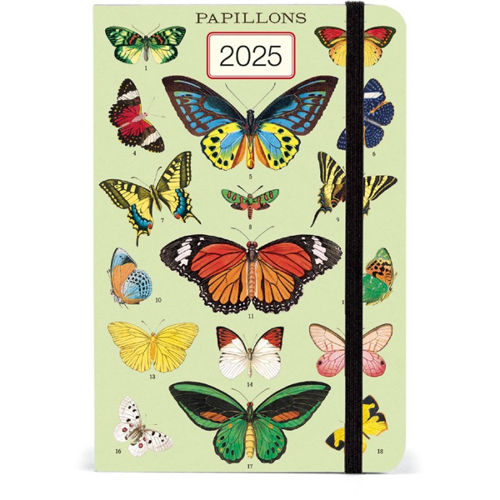 Butterflies - Weekly Planner Diary By Cavallini