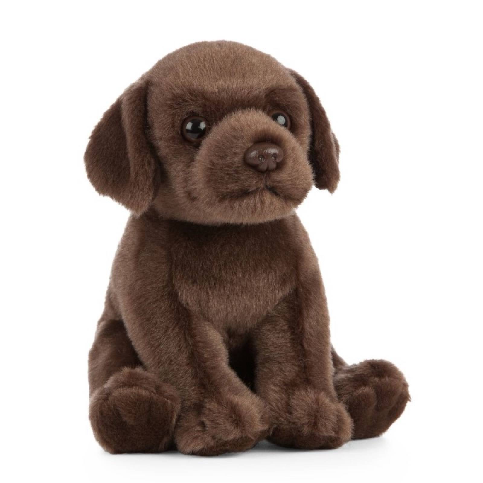 Chocolate Labrador Puppy Soft Toy 0+ thumbnails