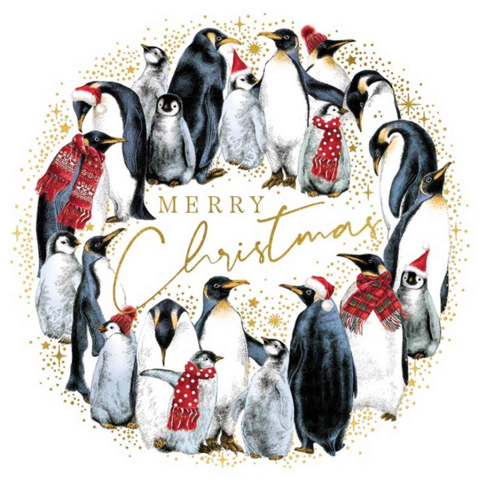 Christmas Penguins - Pack Of 6 Christmas Cards