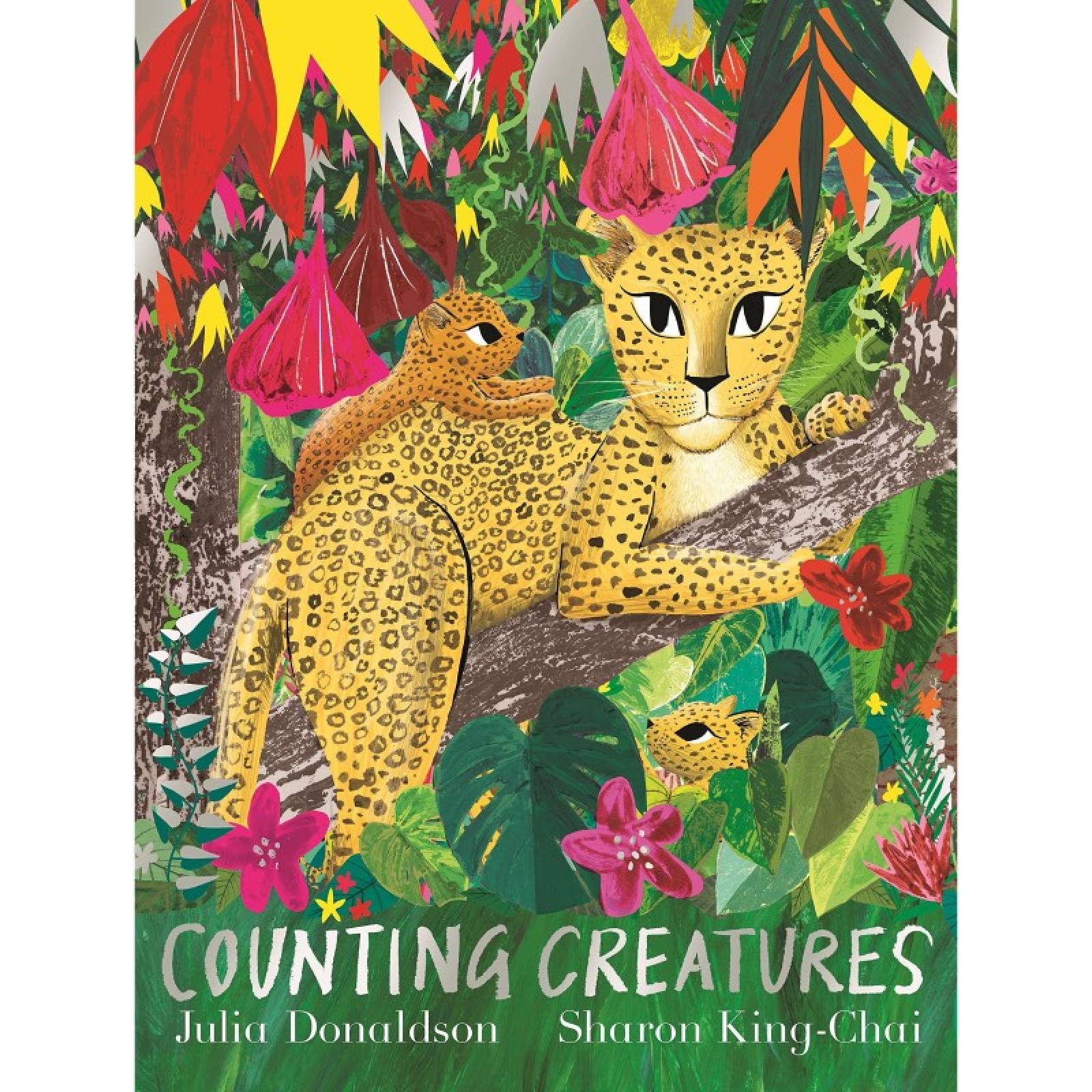 Counting Creatures By Julia Donaldson - Paperback Book