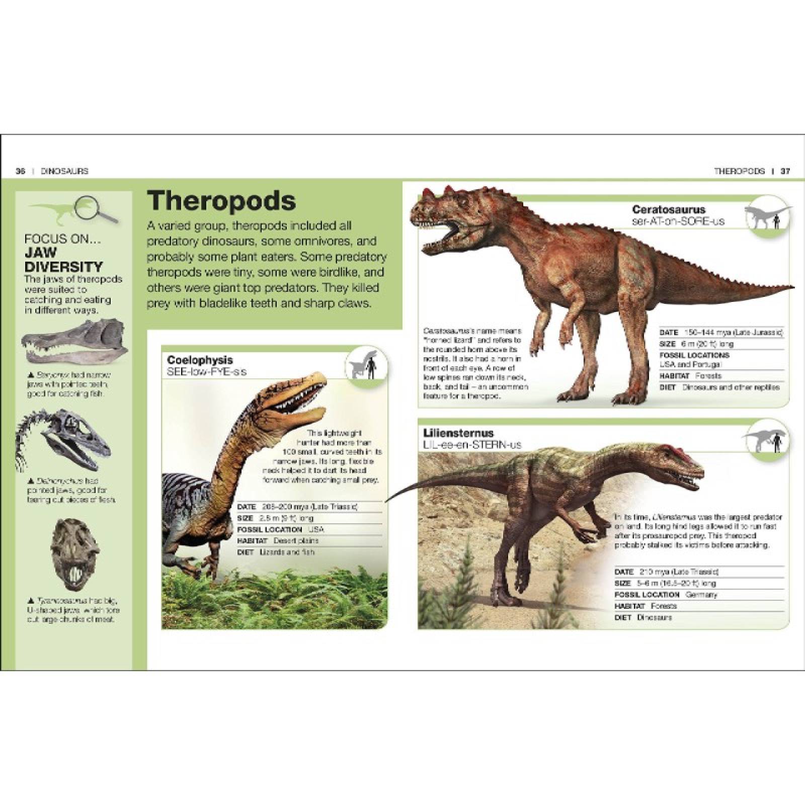 DK Pocket Eyewitness - Dinosaurs: Facts At Your Fingertips thumbnails
