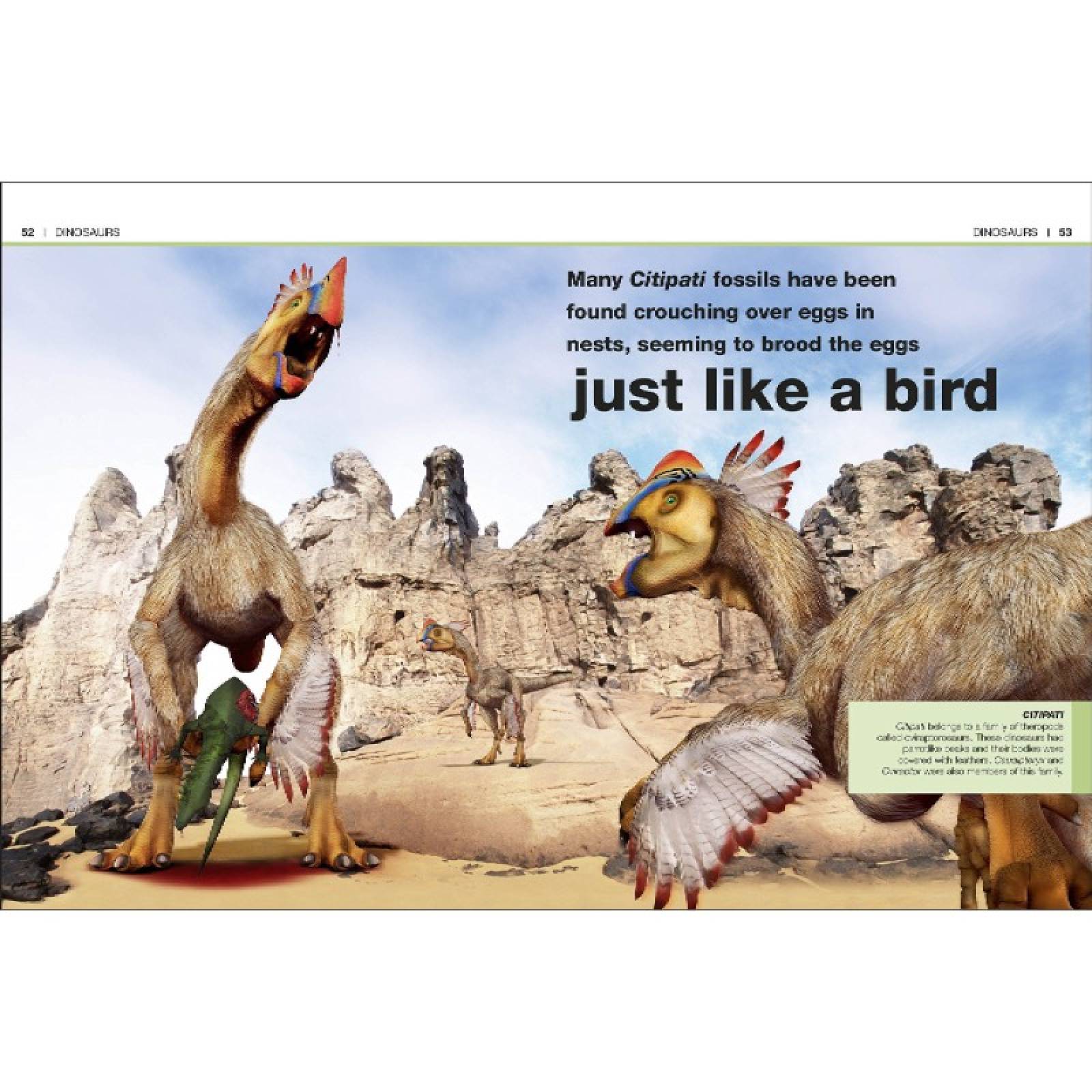 DK Pocket Eyewitness - Dinosaurs: Facts At Your Fingertips thumbnails