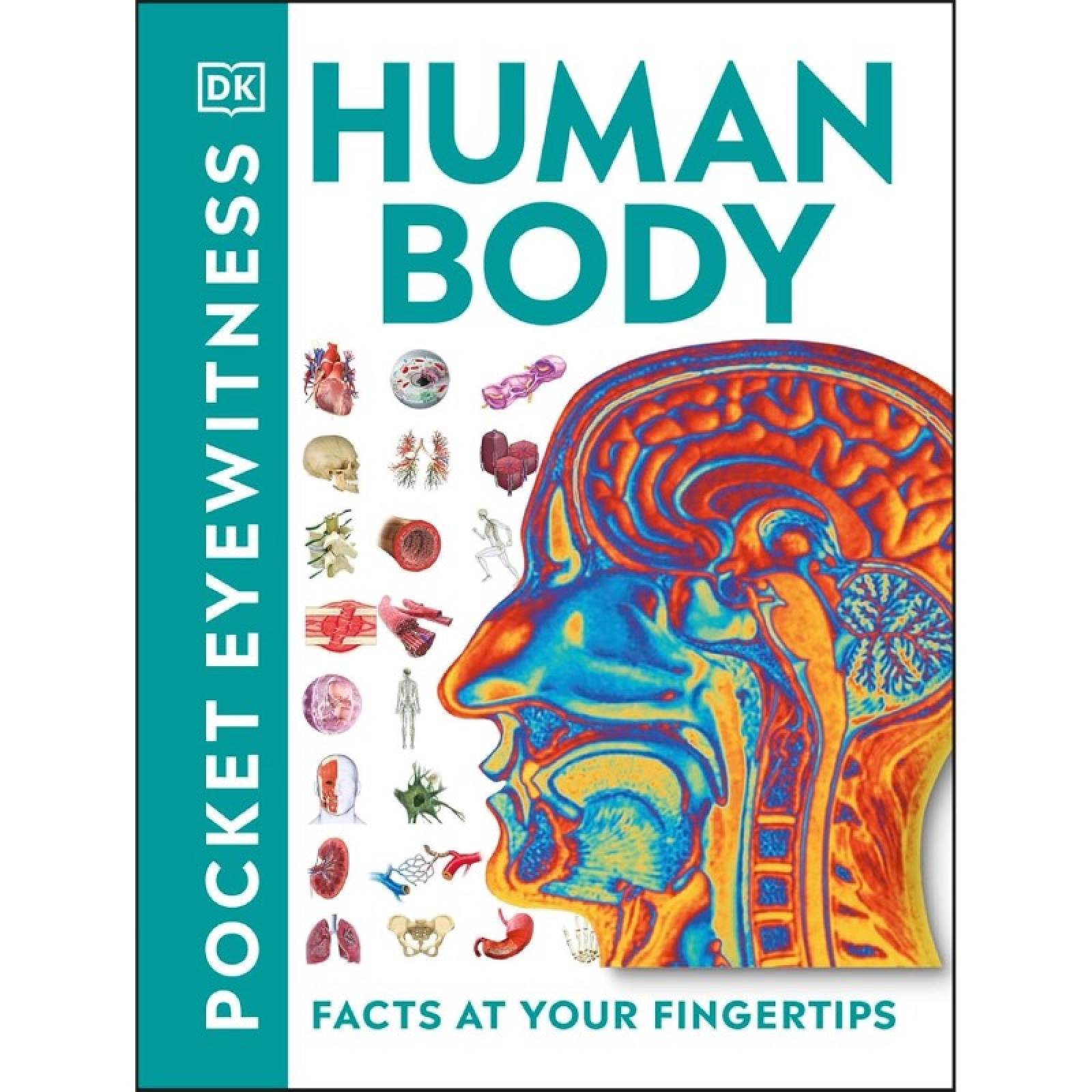 DK Pocket Eyewitness: Human Body - Paperback Book