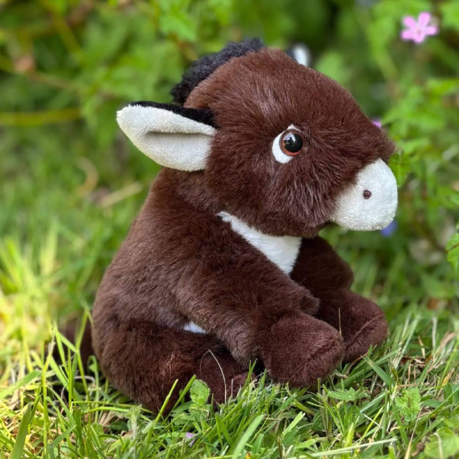 Donkey Cuddle Cub Soft Toy 0+ thumbnails