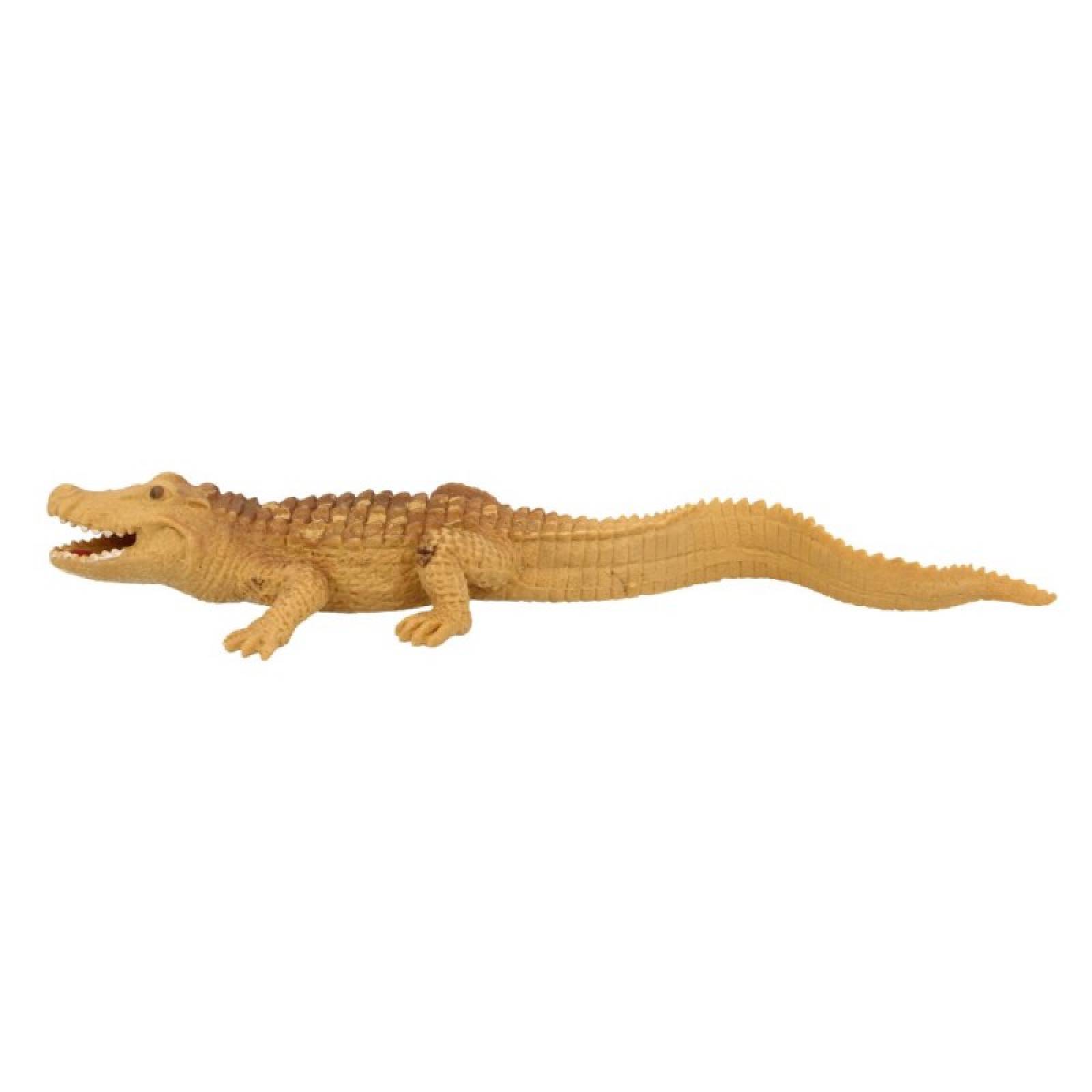 Dwarf Caiman Stretchy Beanie Animal Toy 3