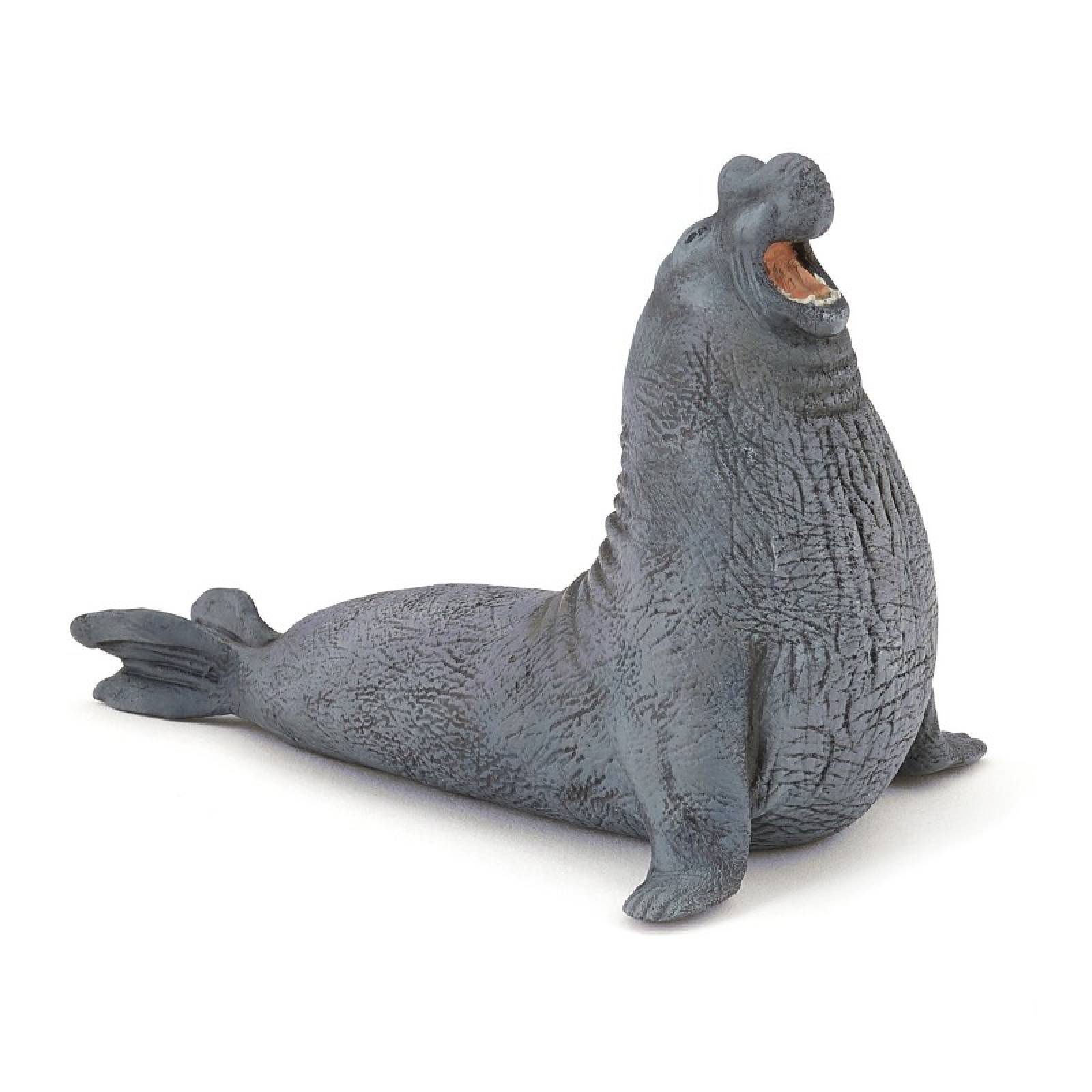 Elephant Seal - Papo Wild Animal Figure