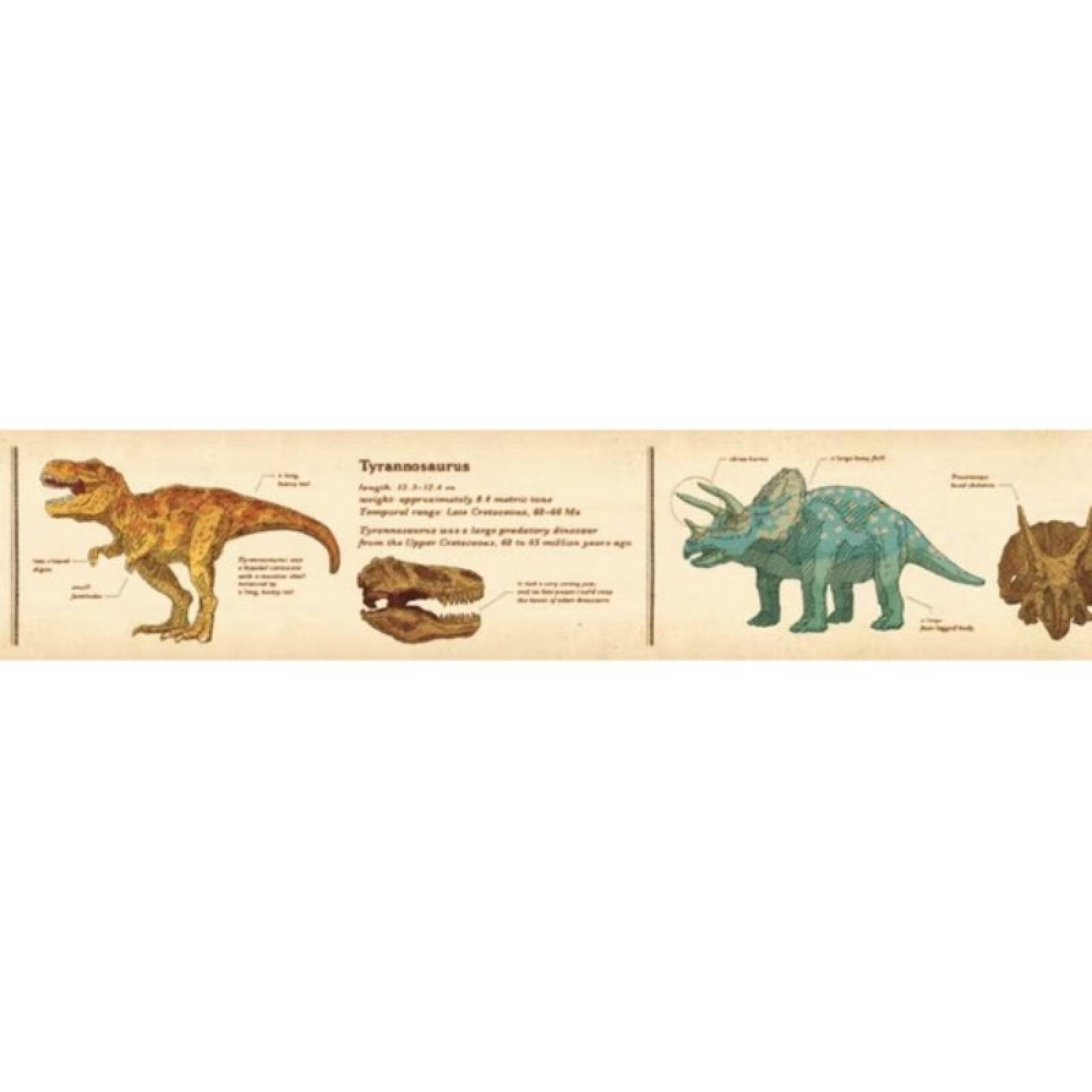 Encyclopedia Dinosaur - Roll Of Washi Masking Tape thumbnails