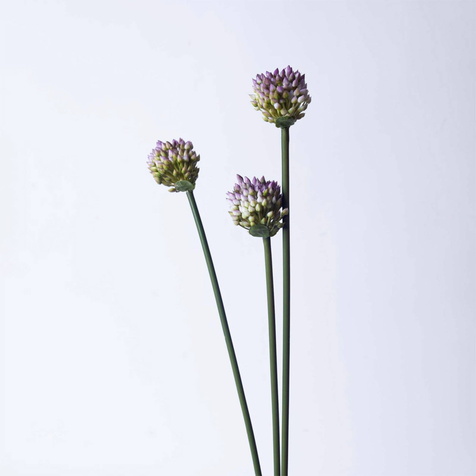 Faux Multi Allium in Bud Branch