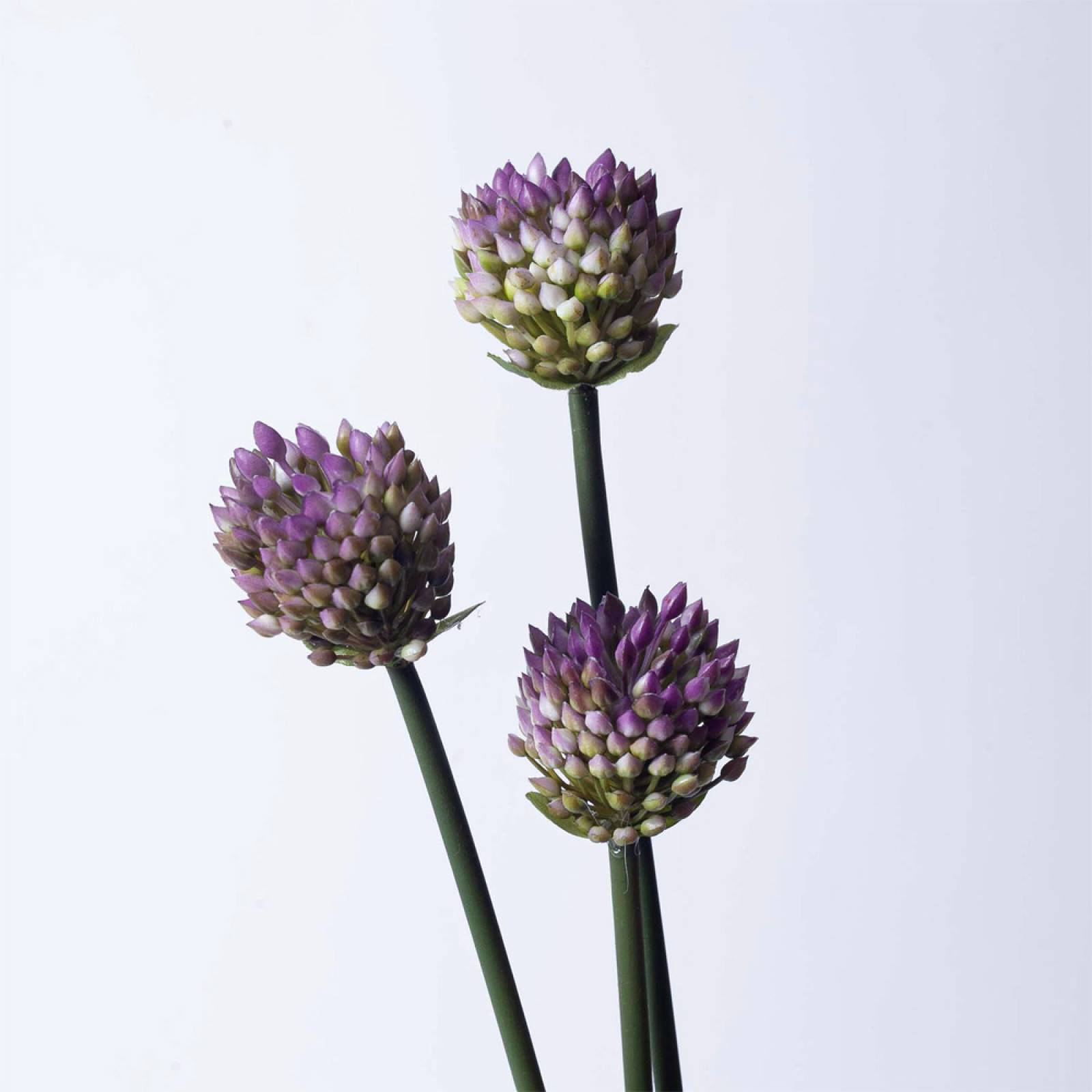 Faux Multi Allium in Bud Branch thumbnails