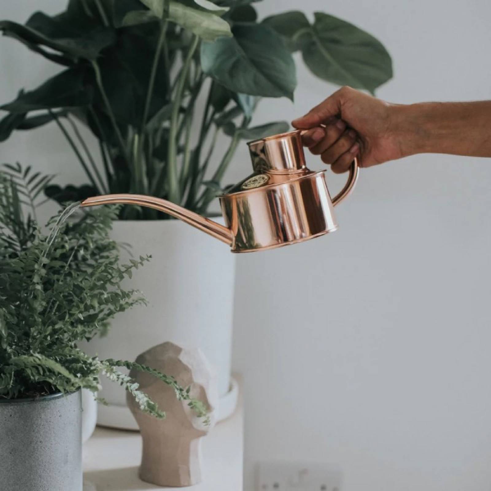 Fazeley Flow - 1 Pint Watering Can In Copper thumbnails