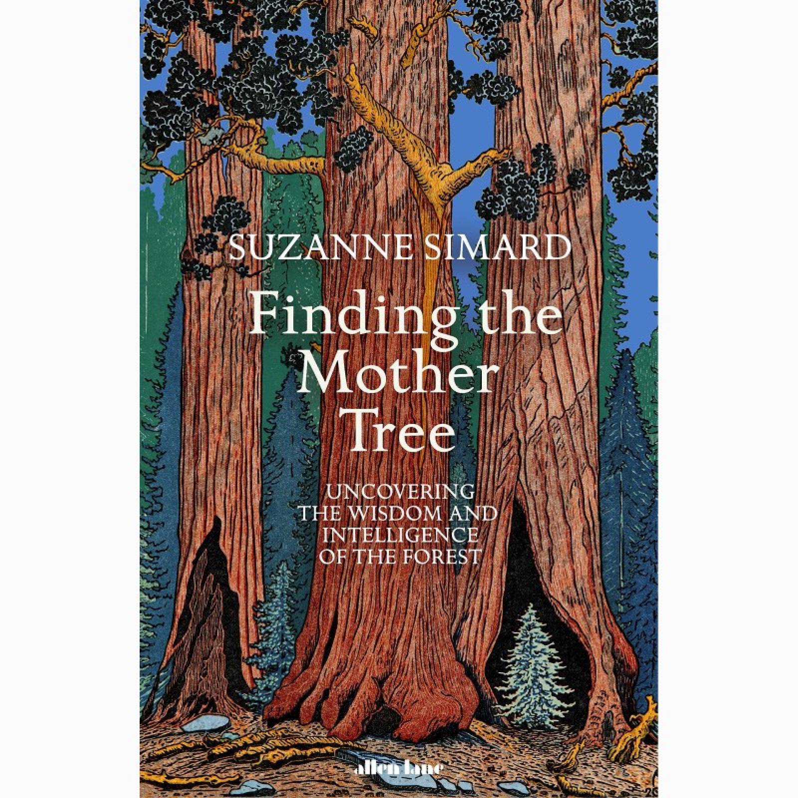 Finding The Mother Tree By Suzanne Simard - Hardback Book