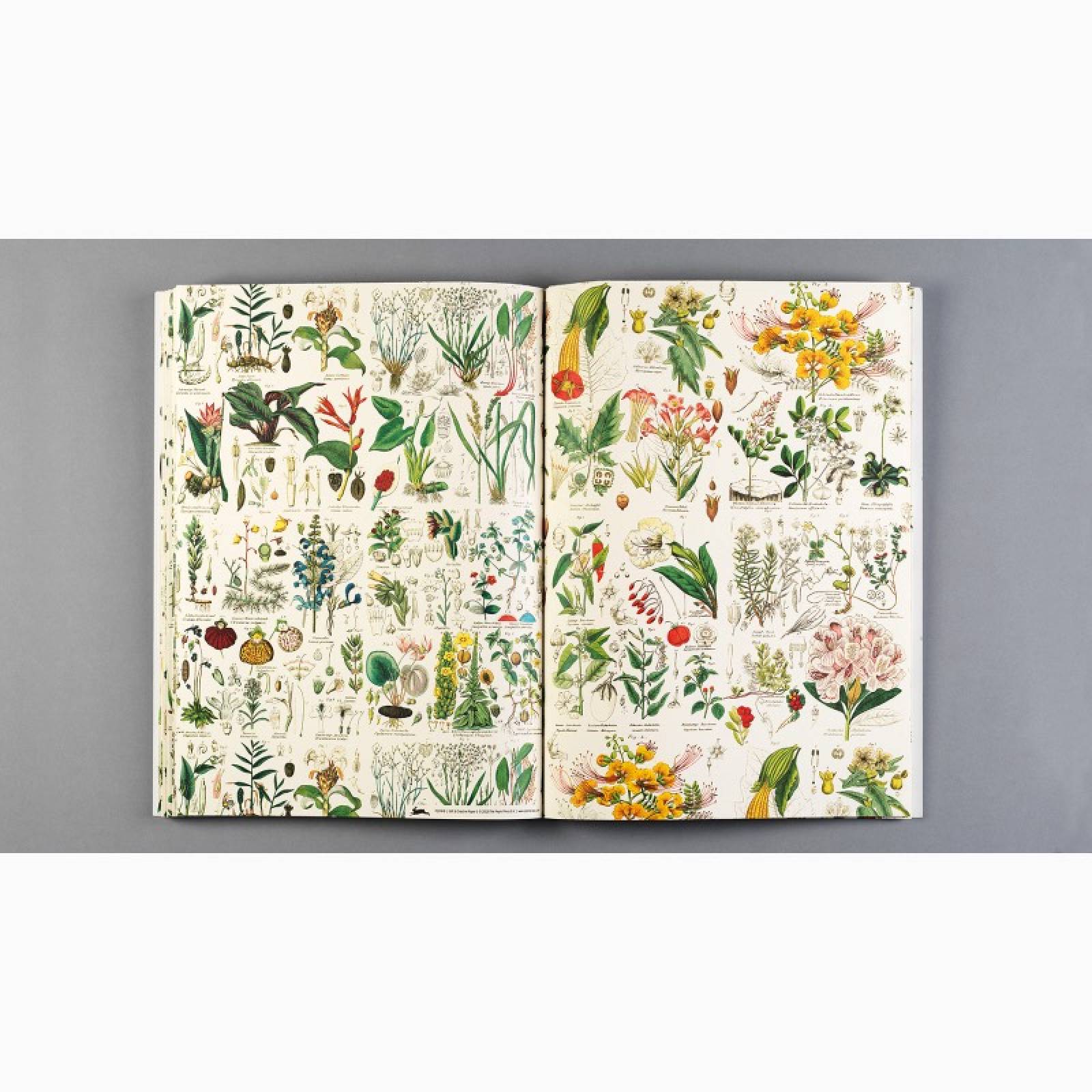 Flora - Pepin Book Of Giftwrap thumbnails