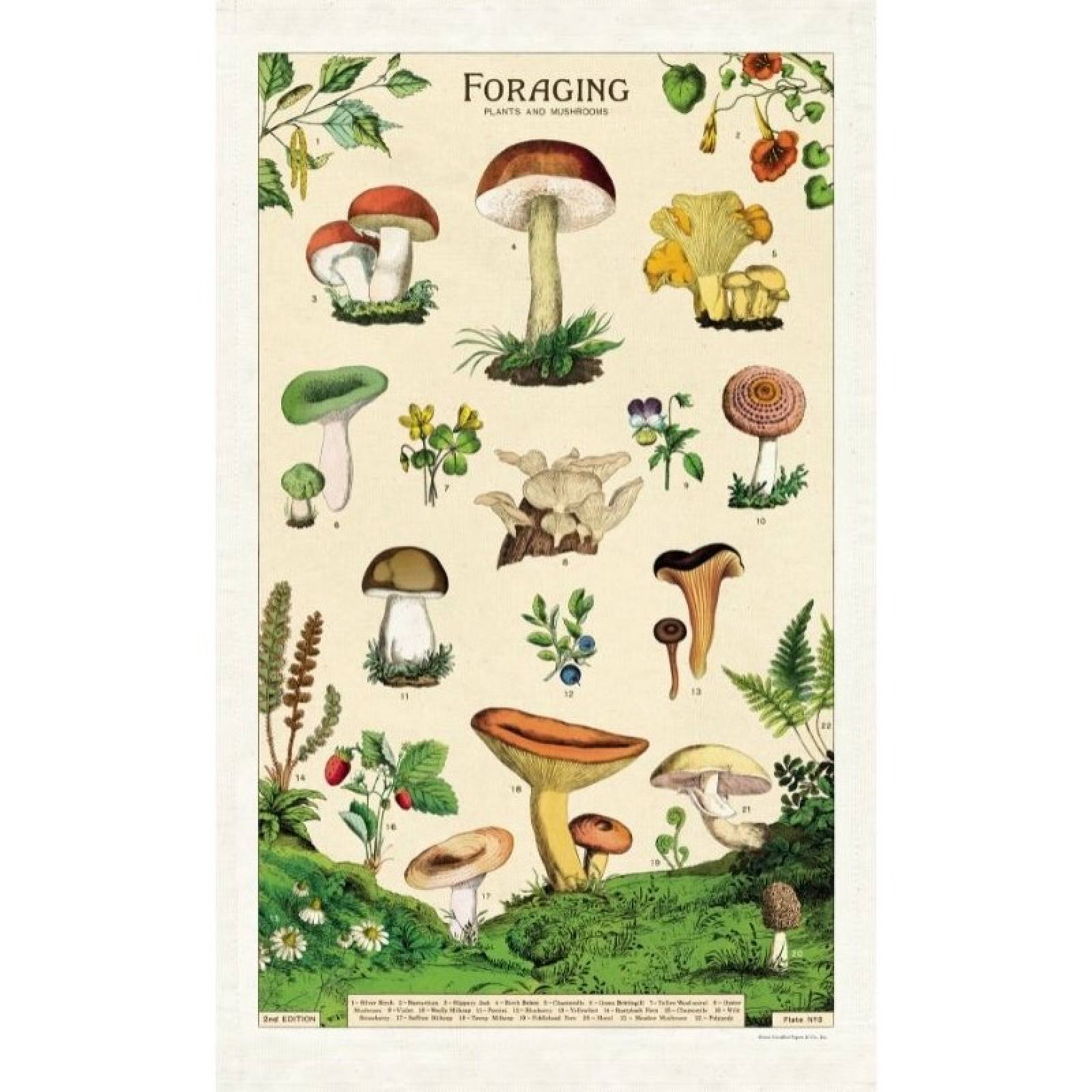 Foraging - Cotton Tea Towel With Gift Bag thumbnails