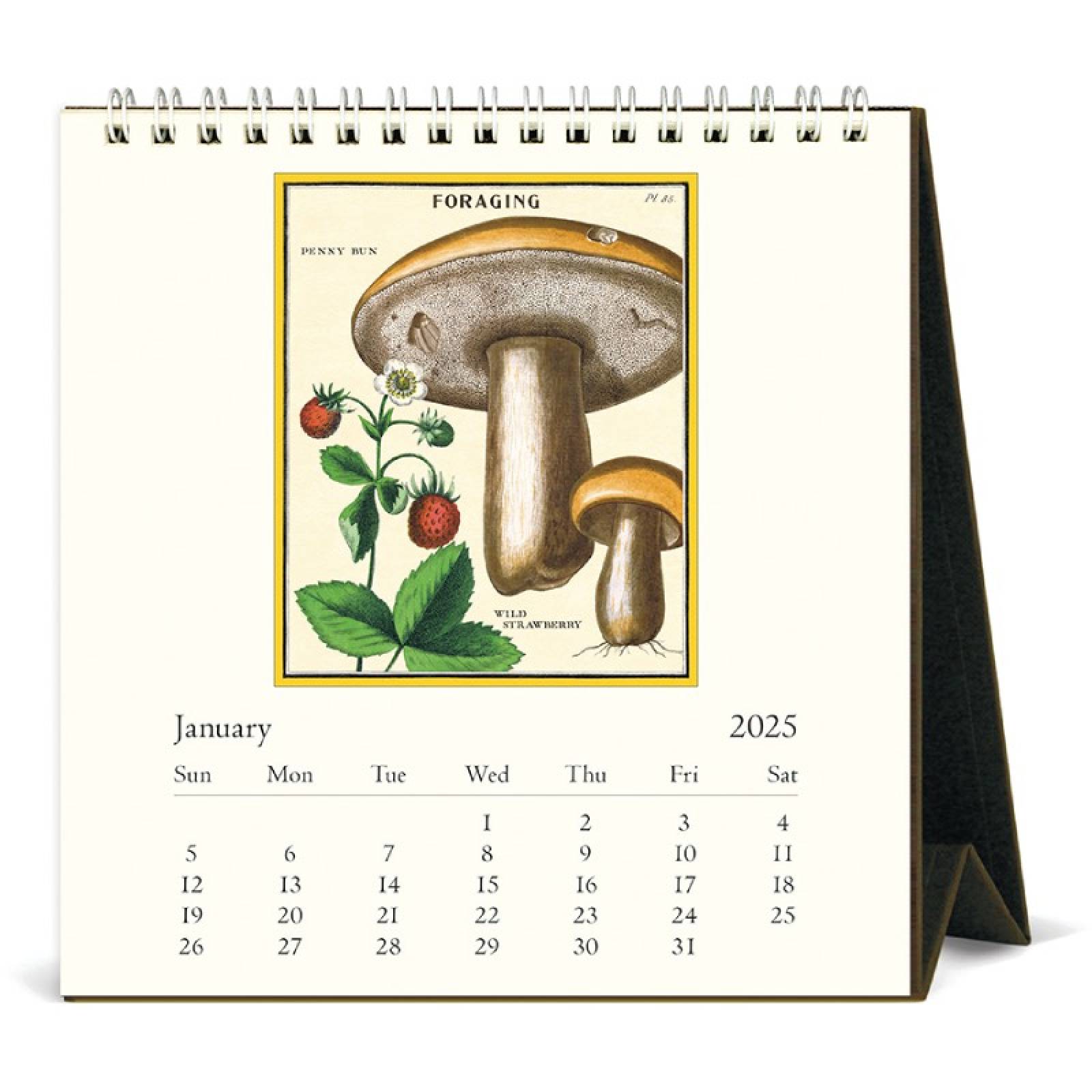 Foraging Desktop Calendar by Cavallini 2025 thumbnails