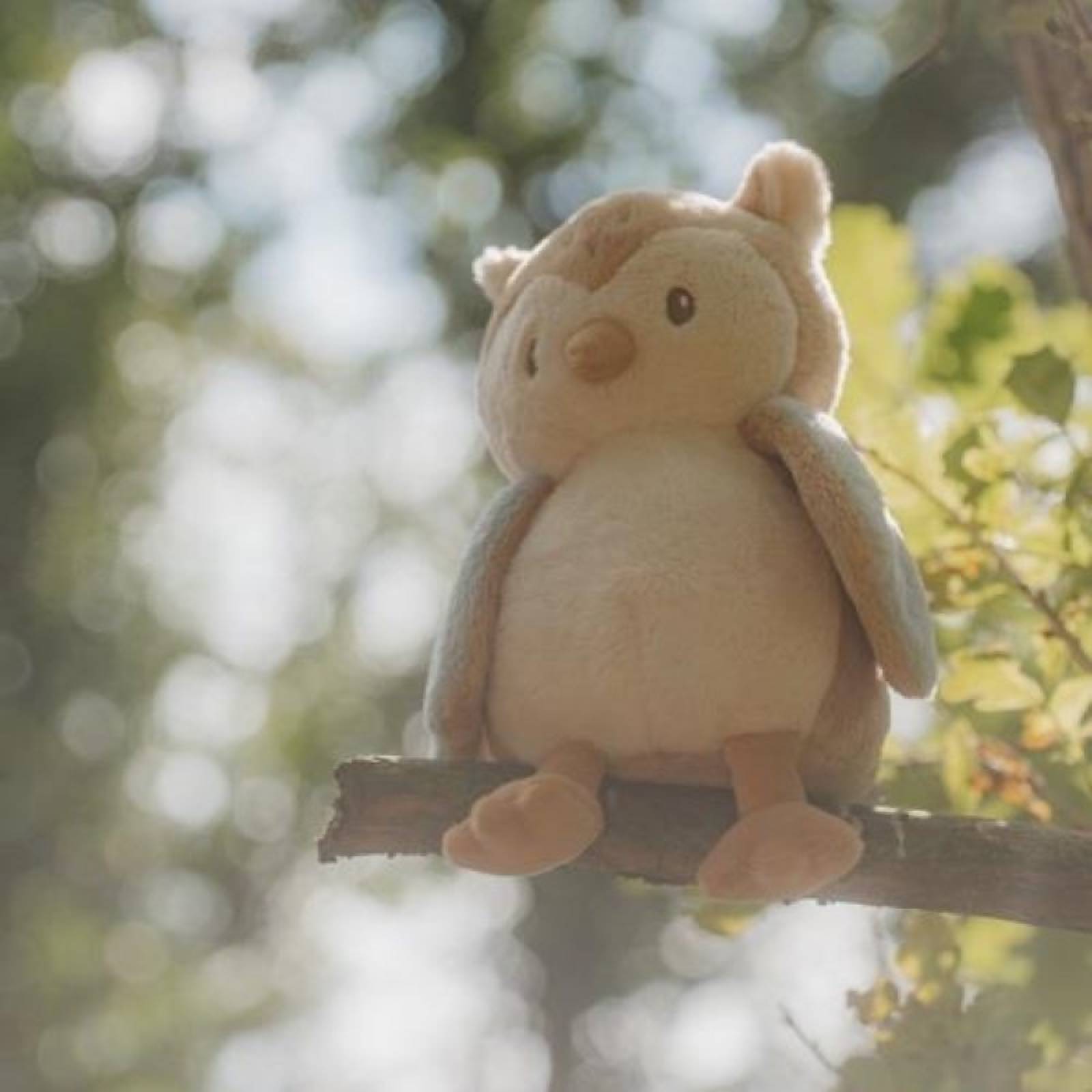 Forest Friends Cuddle Owl Soft Toy By Little Dutch 0+ thumbnails