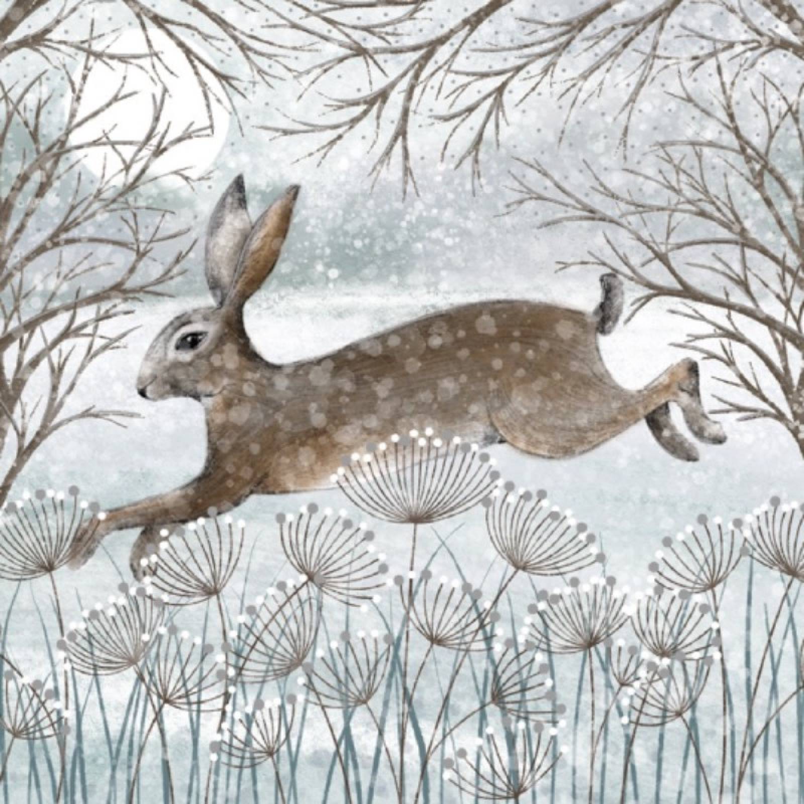 Frosty Field & Hare - Pack Of 6 Christmas Cards
