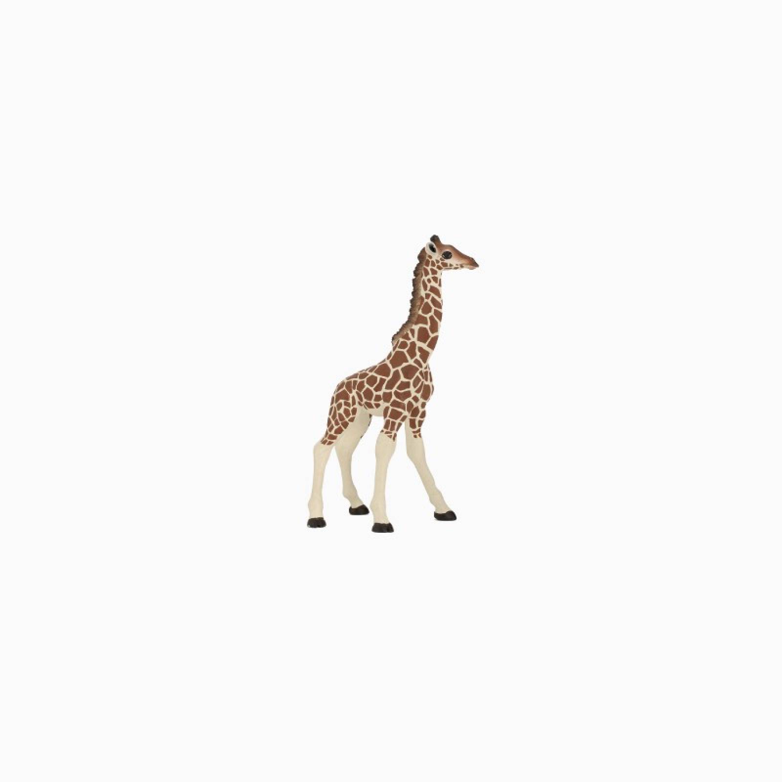 Giraffe Calf - Papo Wild Animal Figure