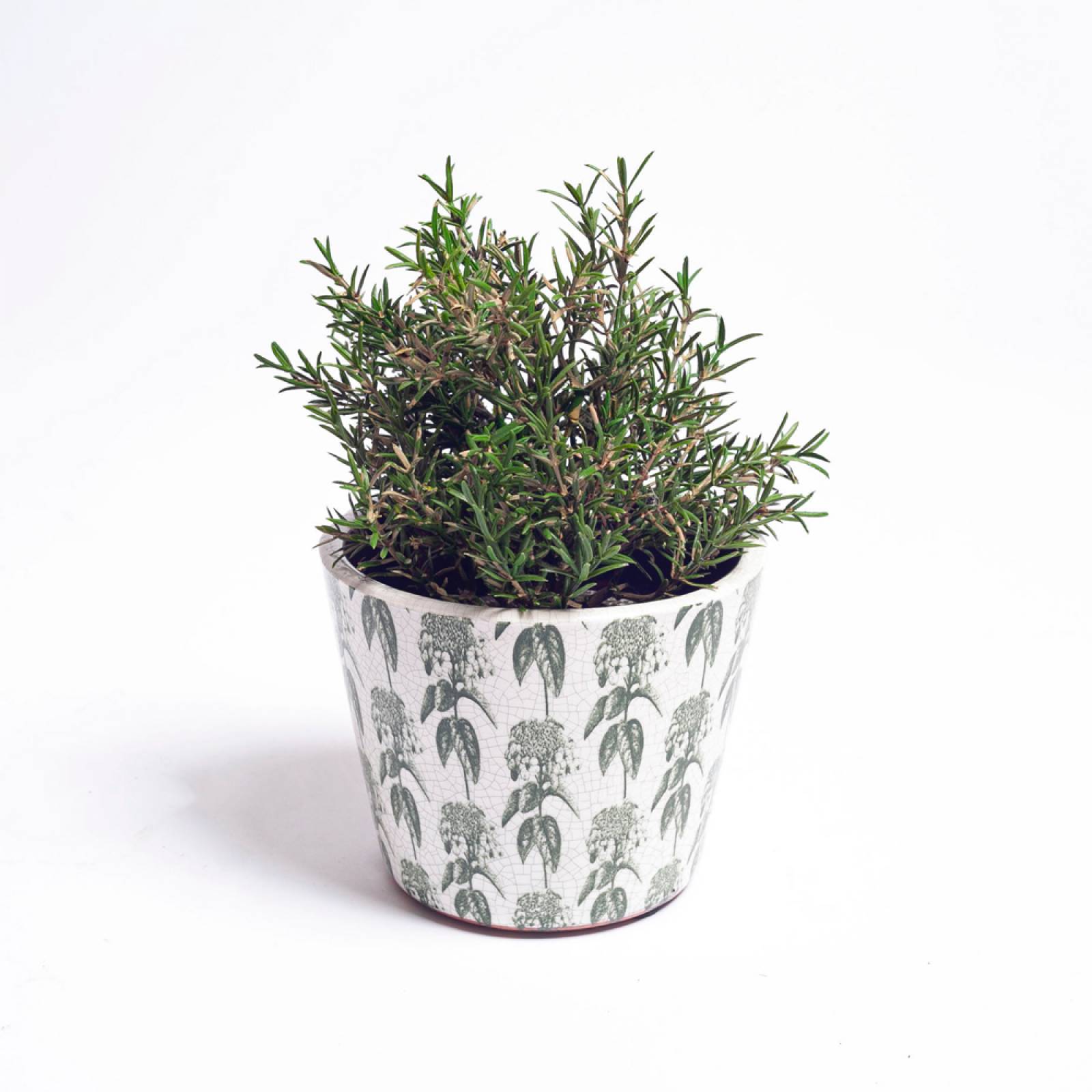 Green & White Patterned Flower Pot - Assorted Designs thumbnails