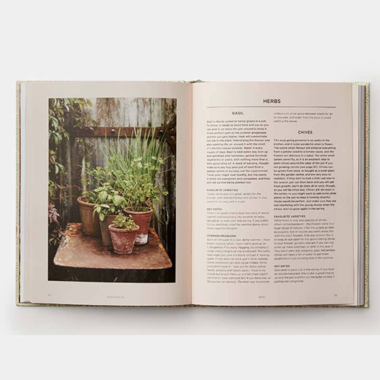 Grow Fruit & Vegetables in Pots - Hardback Book thumbnails