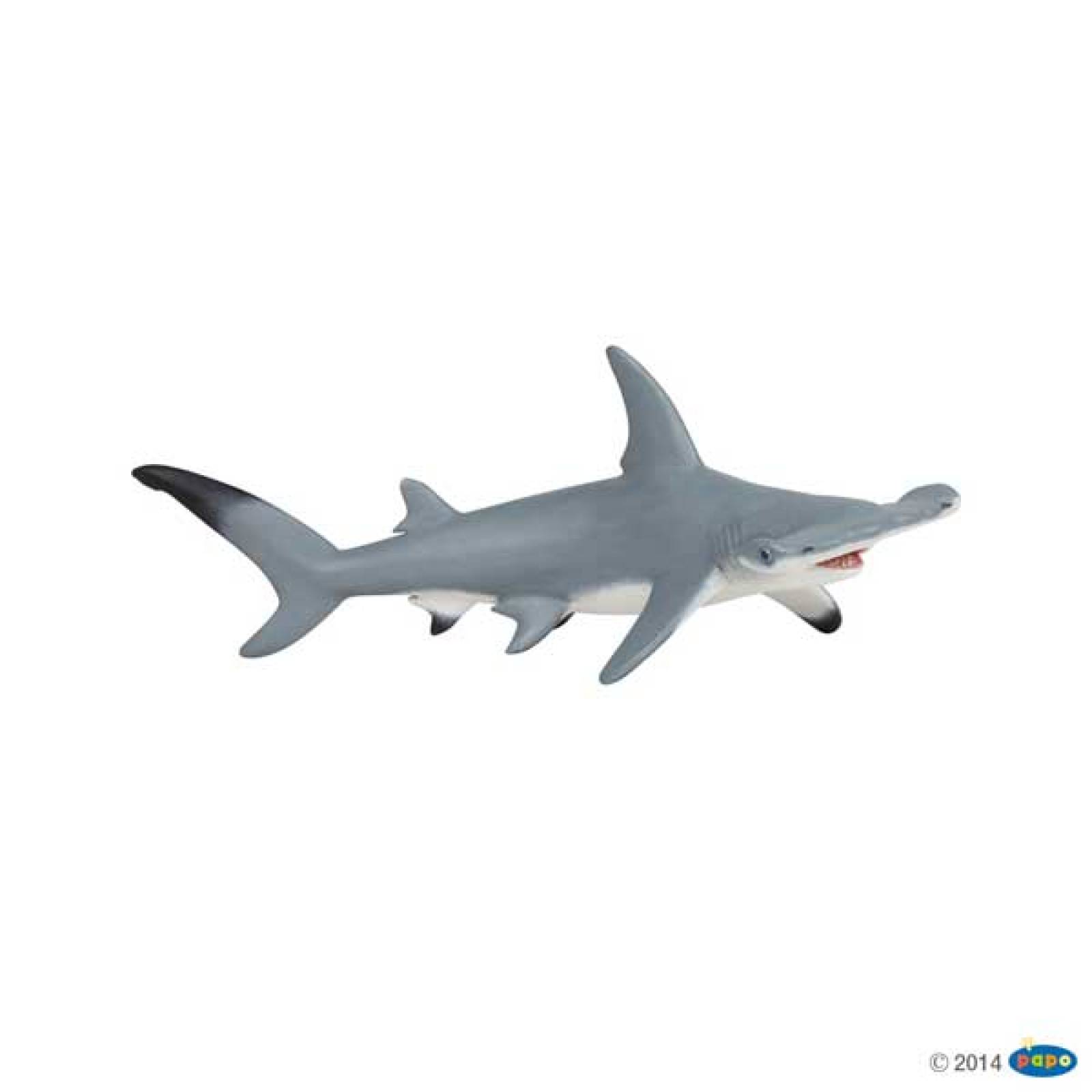 Hammerhead Shark - Papo Wild Animal Figure