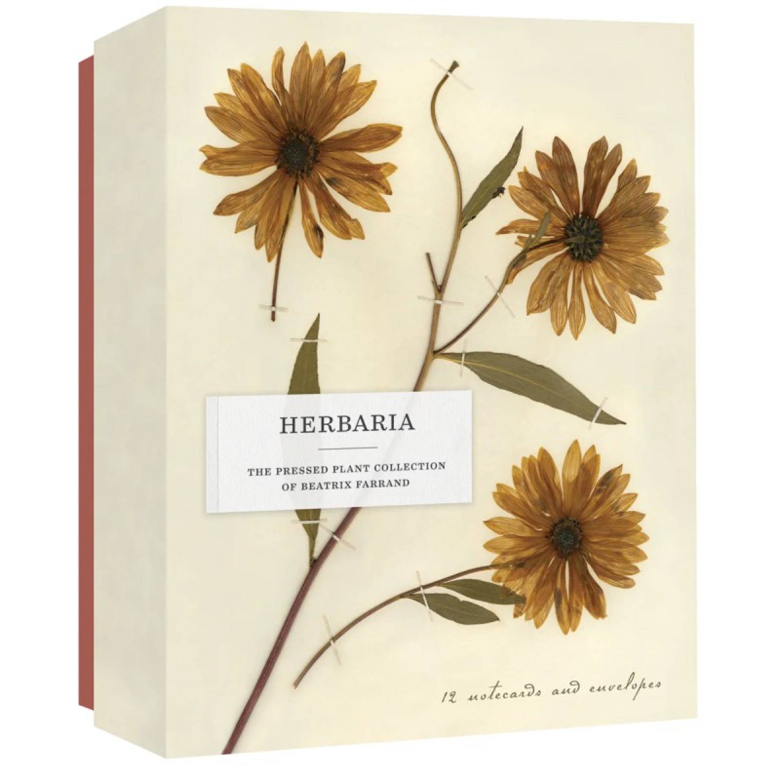 Herbaria: The Plant Collection of Beatrix Farrand Notecards