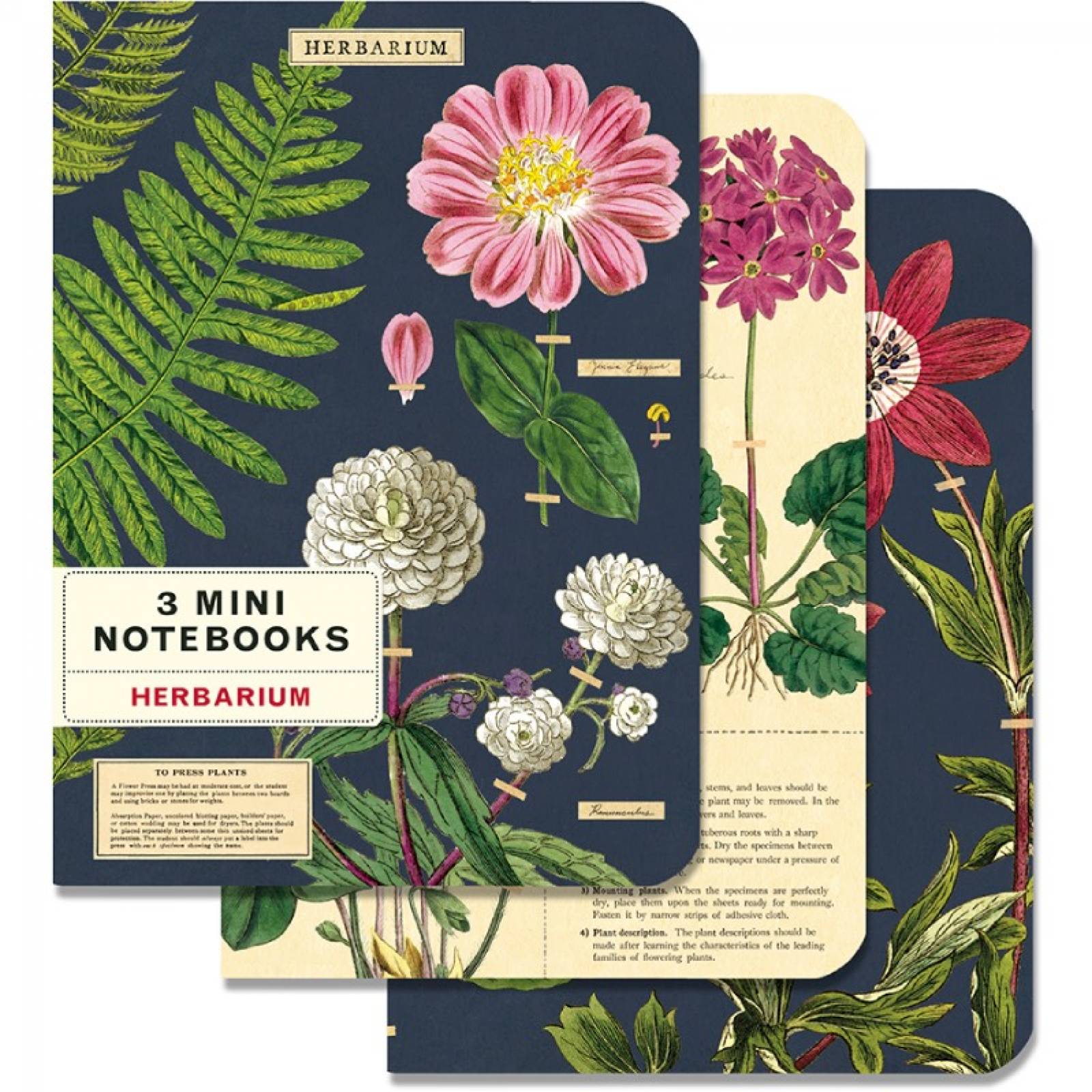 Herbarium - Set Of 3 Mini Notebooks By Cavallini