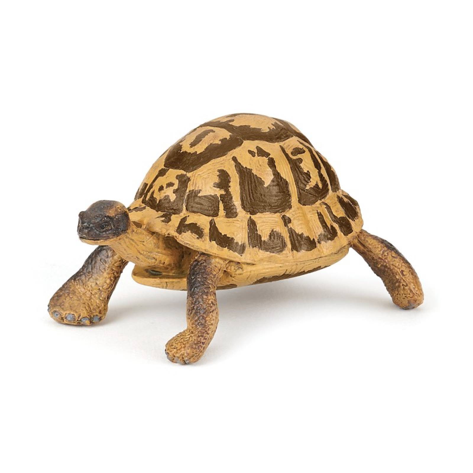 Hermann's Tortoise - Papo Wild Animal Figure