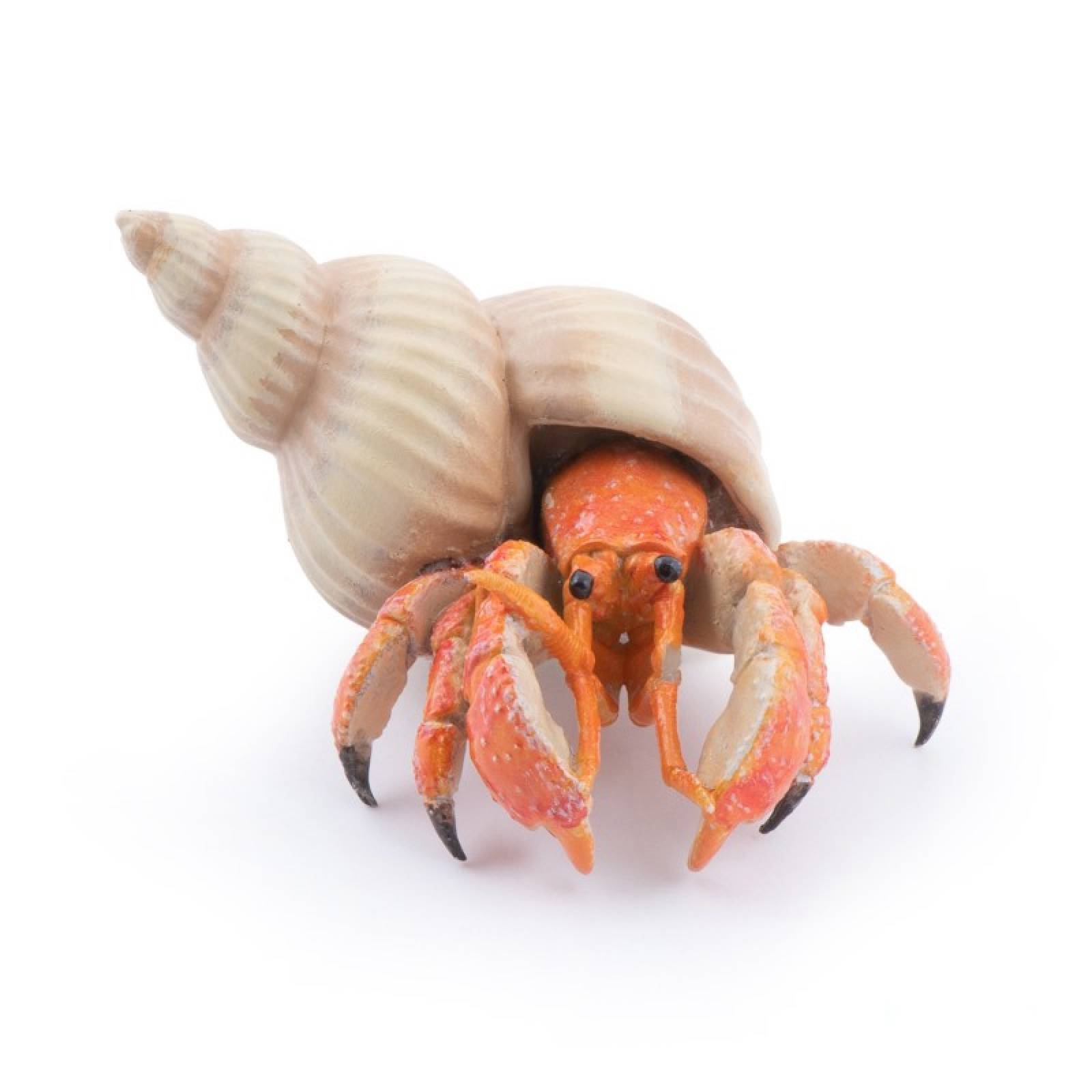 Hermit Crab - Papo Animal Figure