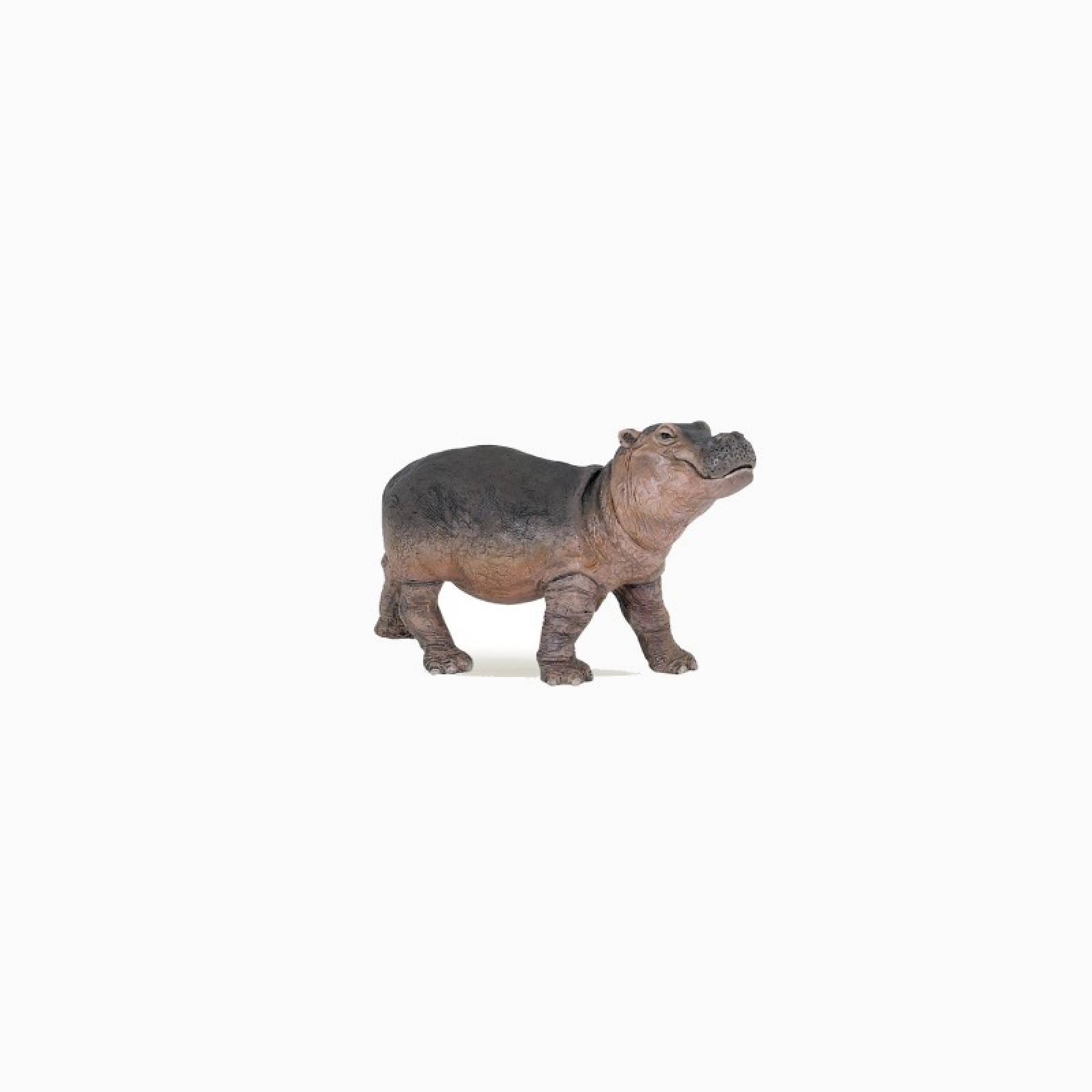 Hippopotamus Calf - Papo Wild Animal Figure