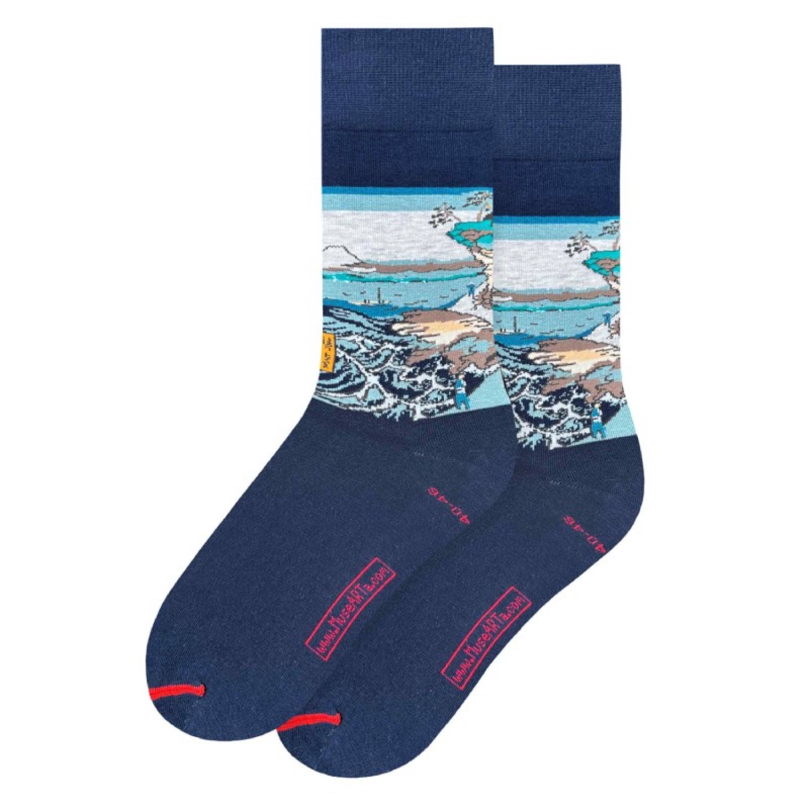 Hiroshige Coast Near Hota - Pair Of Cotton Socks