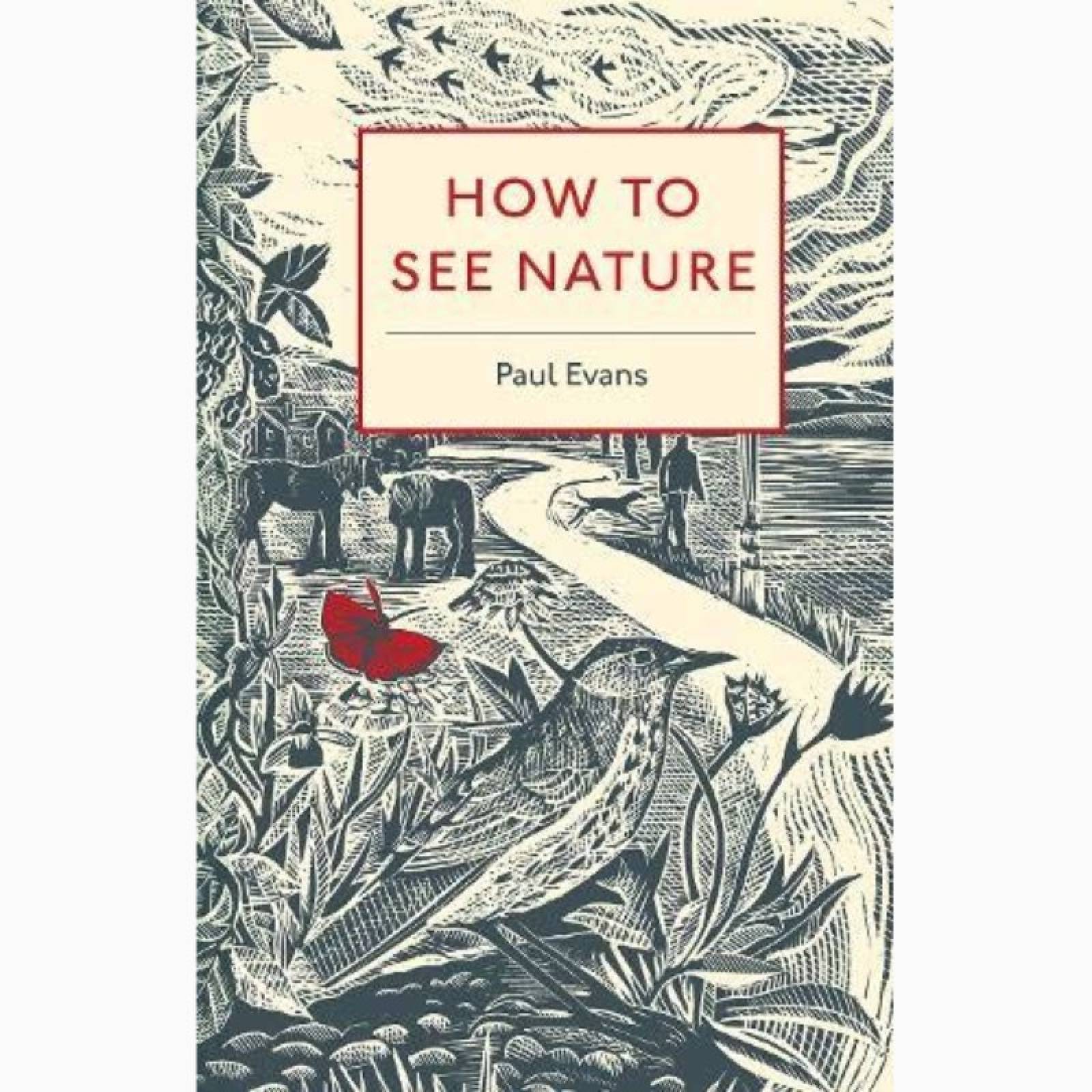 How To See Nature - Paperback Book