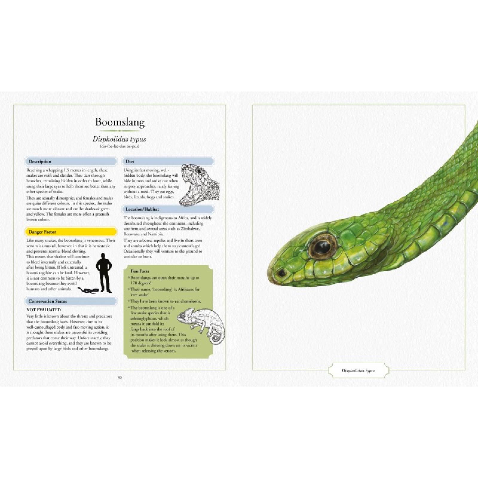 Illustrated Encyclopedia Of Dangerous Animals - Hardback Book thumbnails