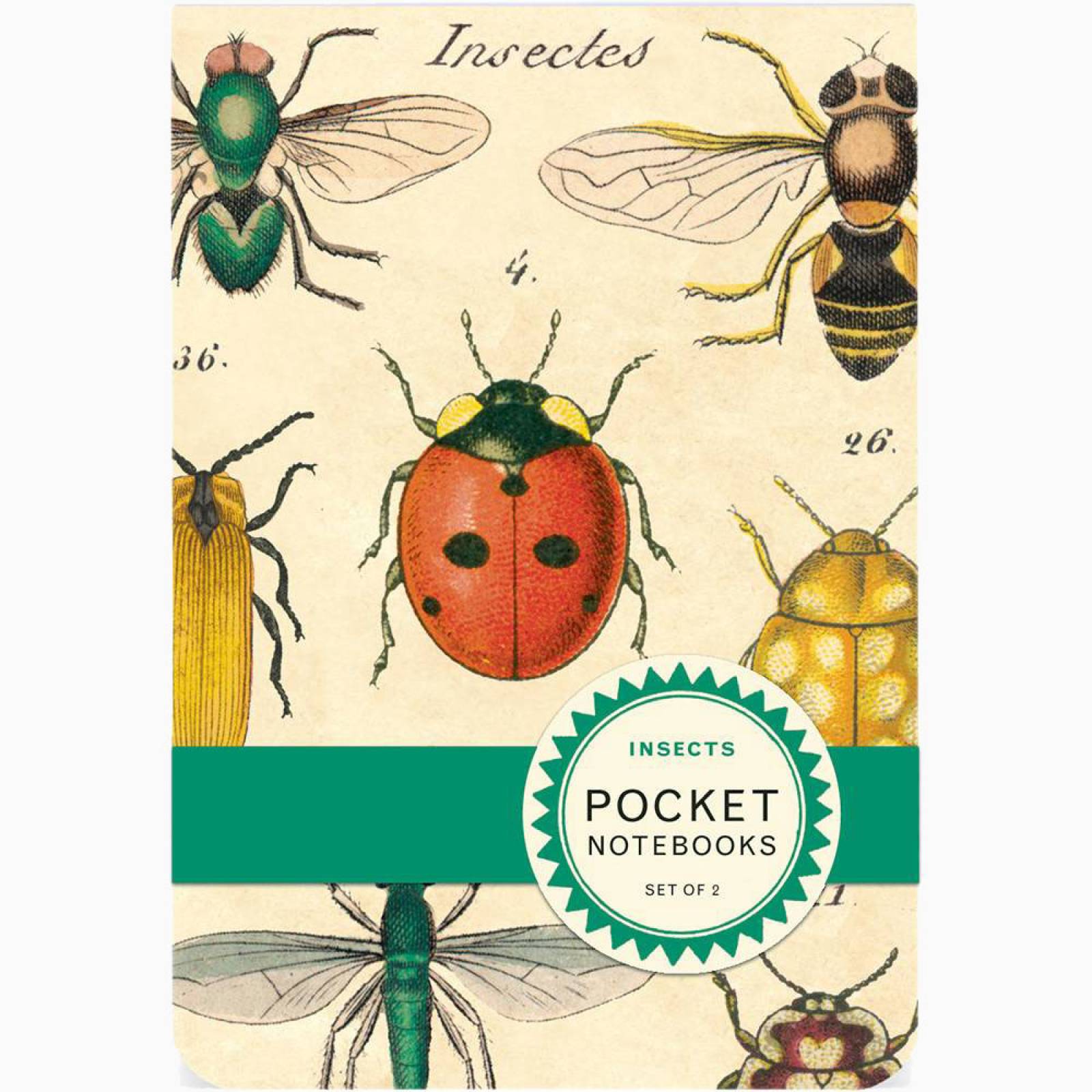 Set Of 2 Pocket Notebooks - Insects