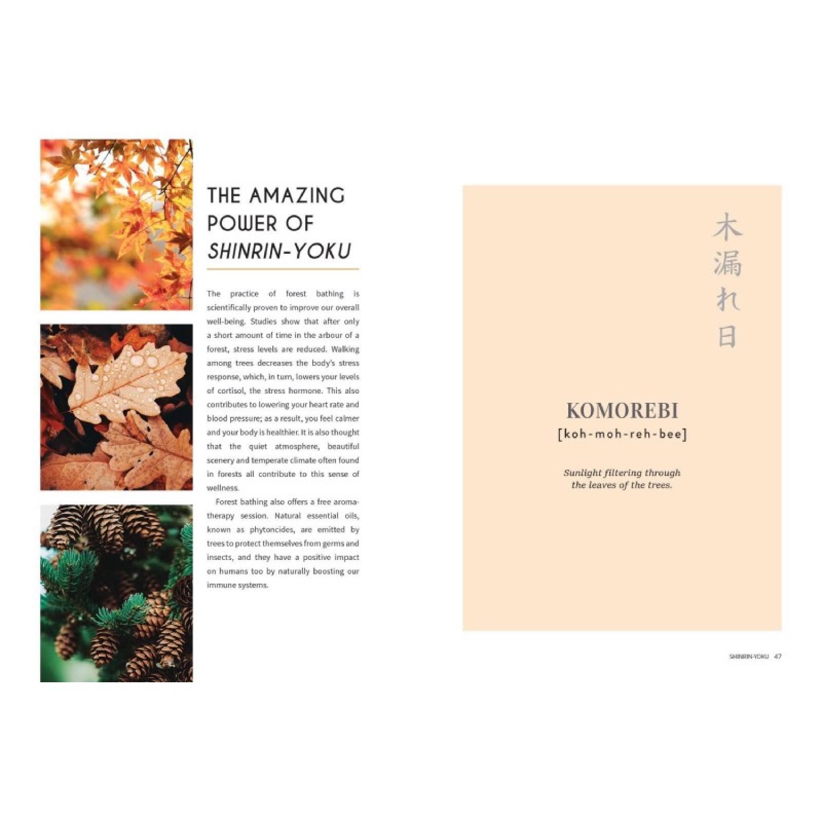 Japanese Living - Hardback Book thumbnails