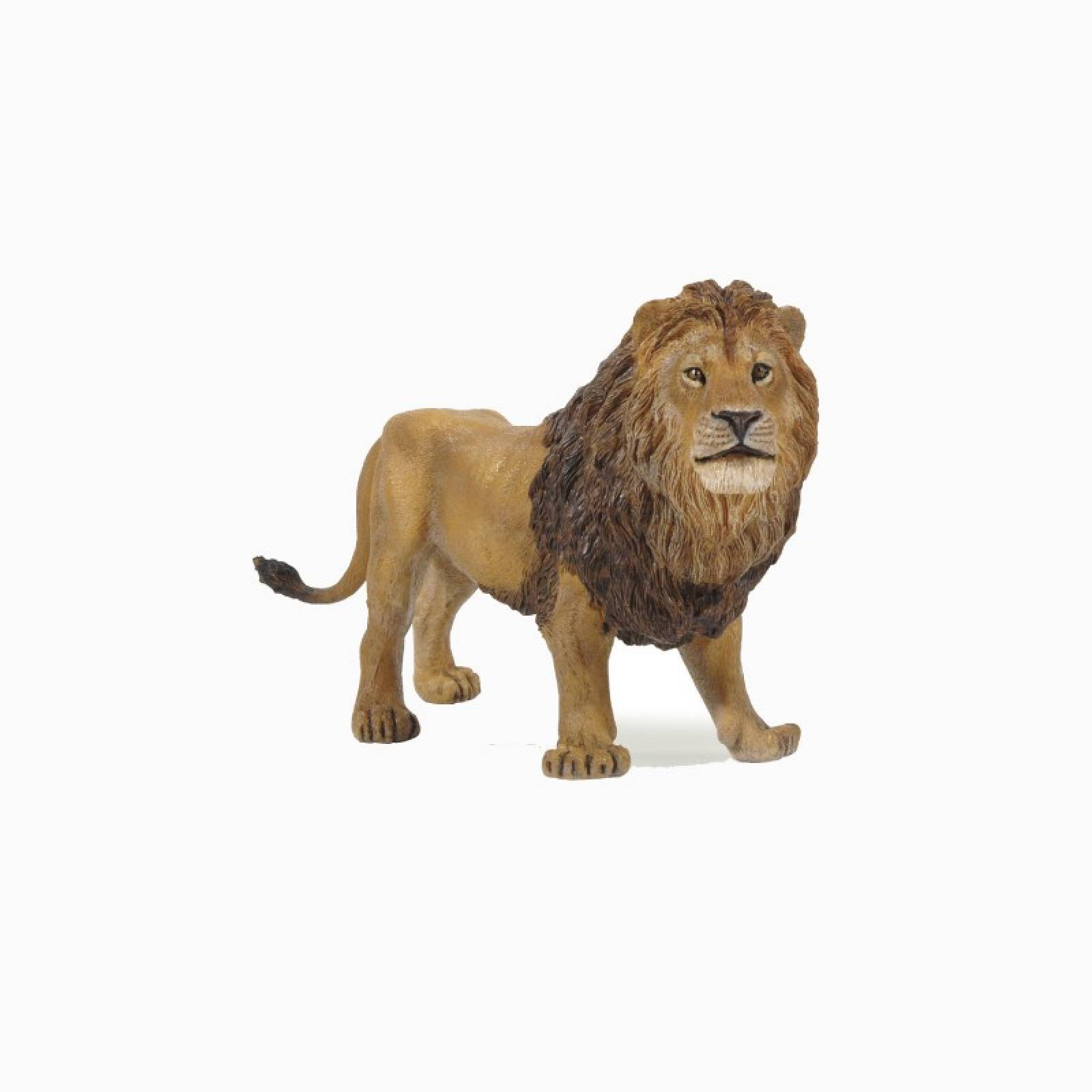 Lion - Papo Wild Animal Figure