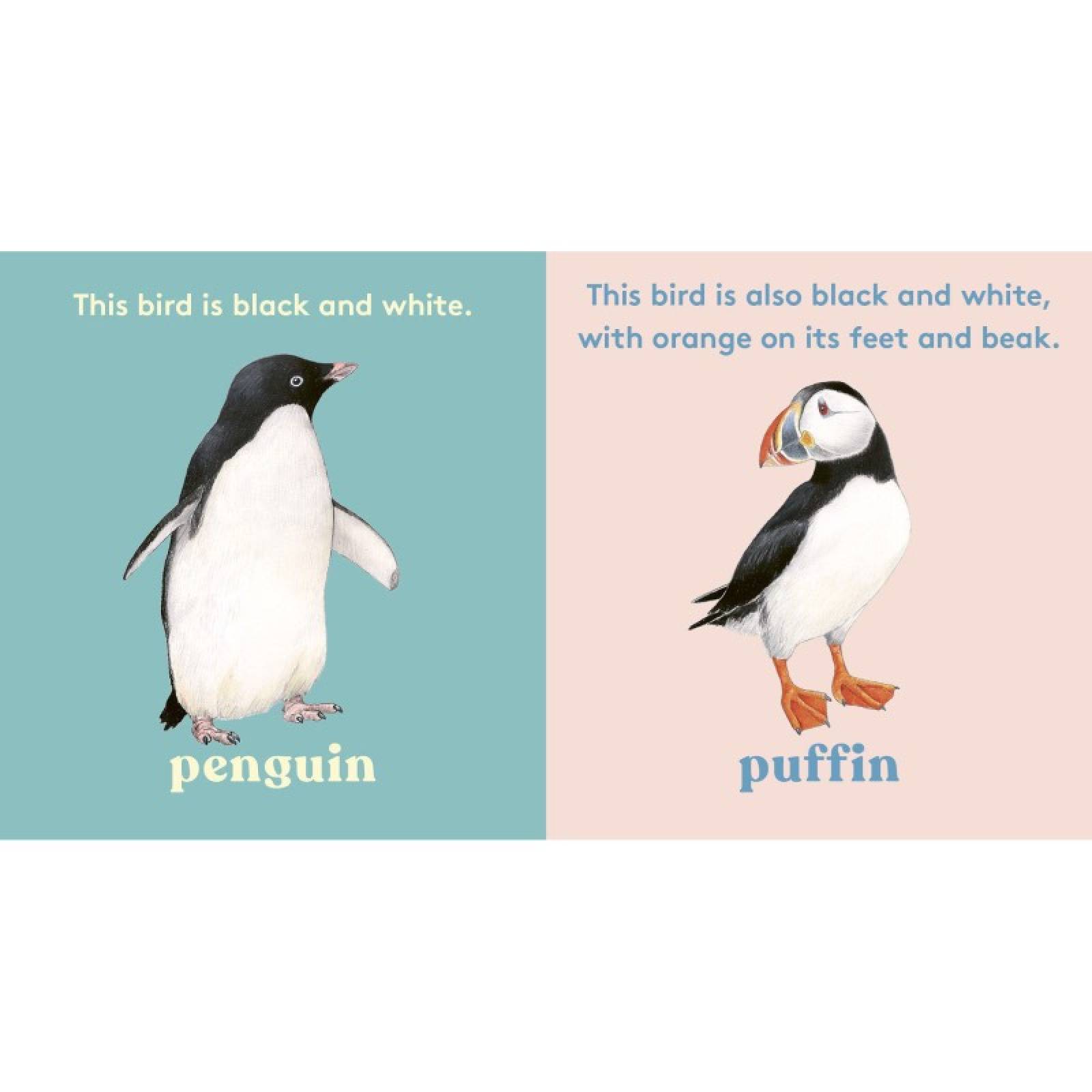 Look A Bird - Board Book thumbnails