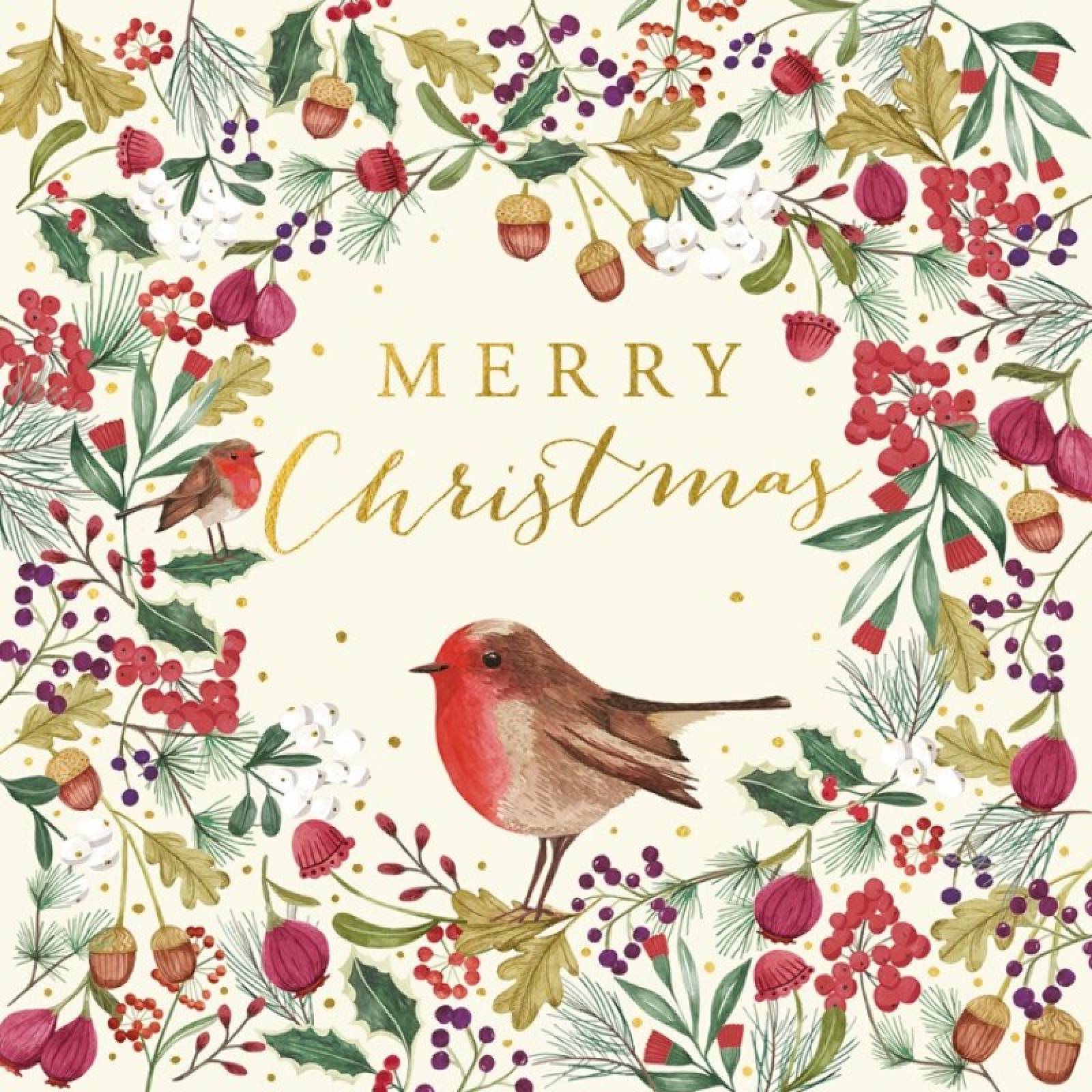 Merry Christmas Robin - Pack Of 6 Christmas Cards