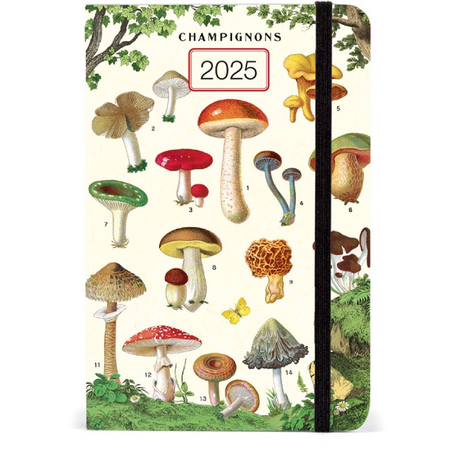 Mushrooms - Weekly Planner Diary By Cavallini