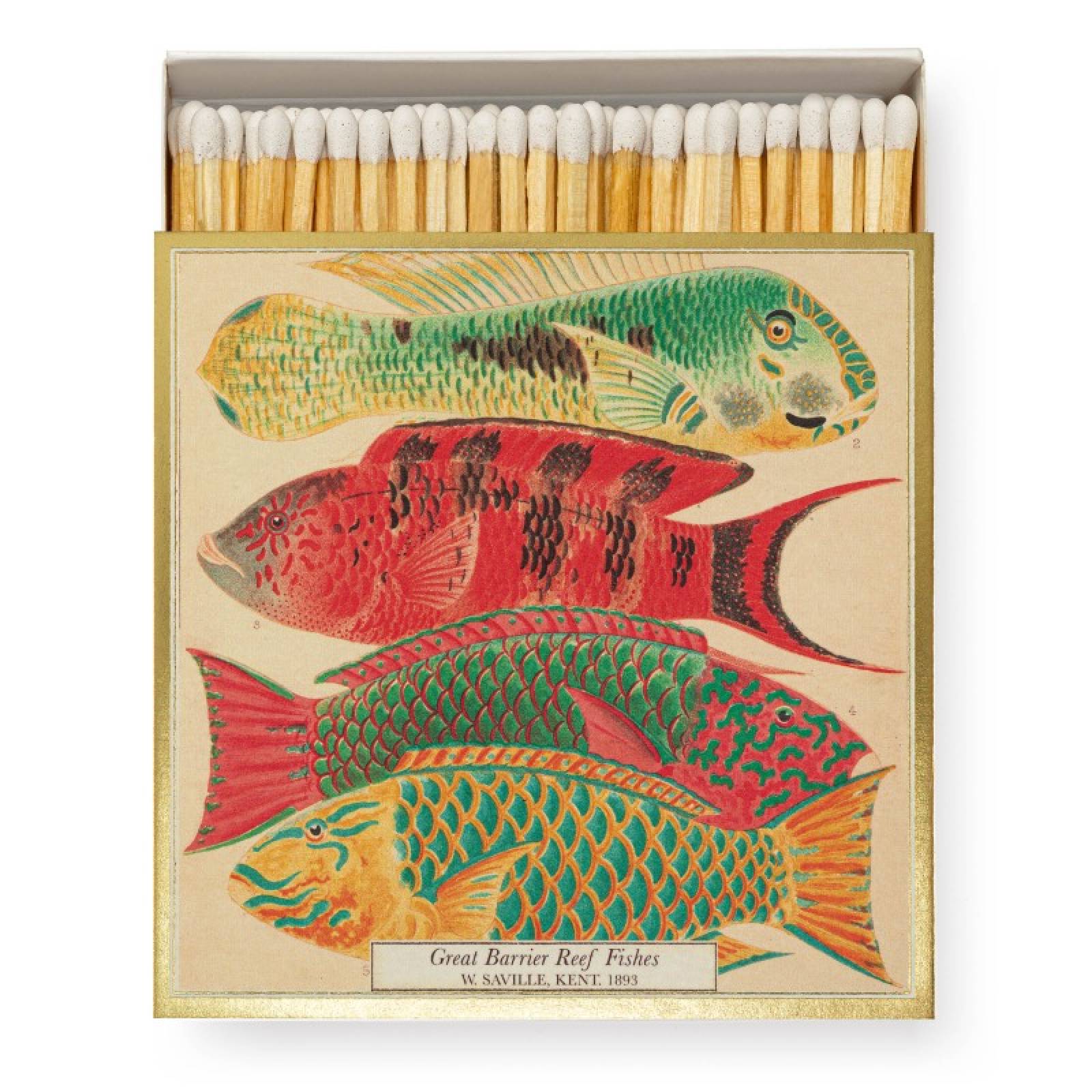 Natural History Museum Fish - Square Box Of Safety Matches