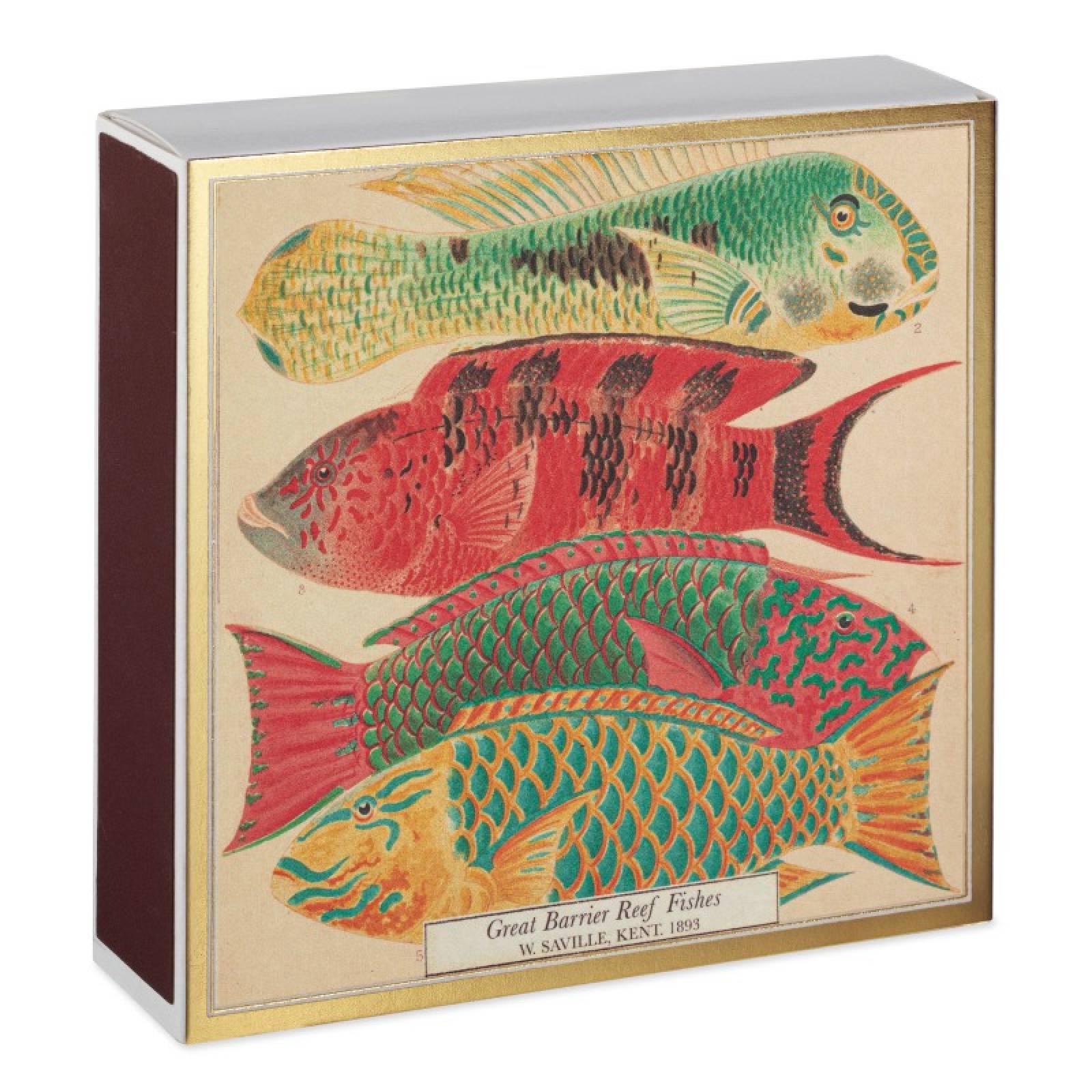 Natural History Museum Fish - Square Box Of Safety Matches thumbnails