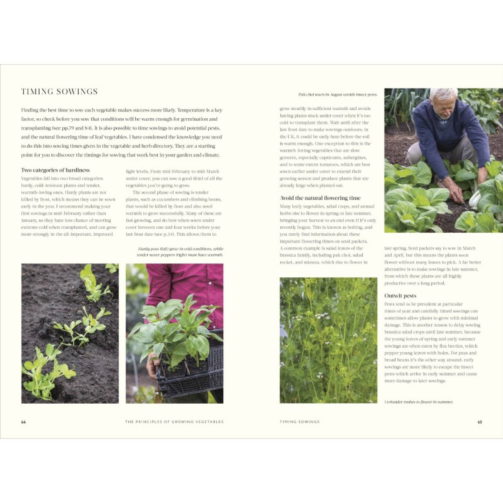 No Dig: Nurture Your Soil To Grow Better Veg - Hardback Book thumbnails