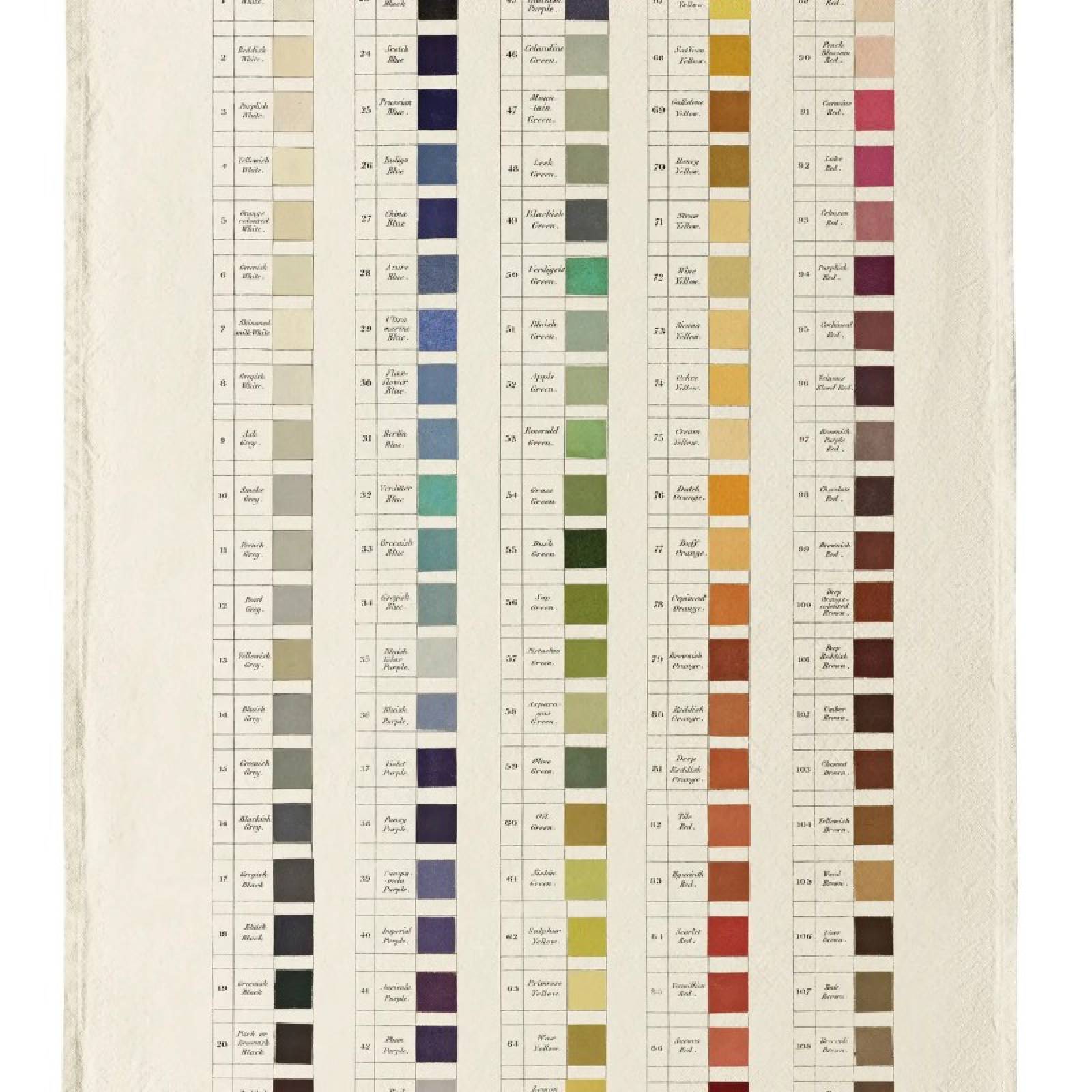 Nomenclature Of Colours - Organic Cotton Tea Towel thumbnails