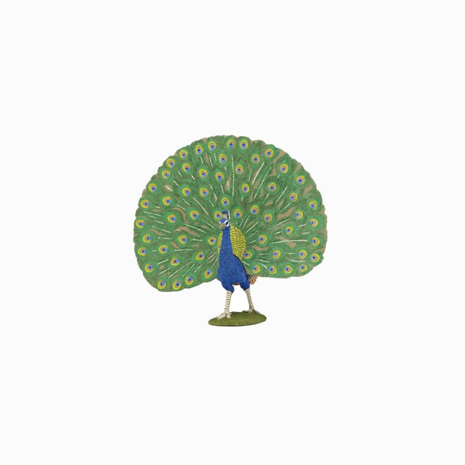 Peacock - Papo Farm Animal Figure