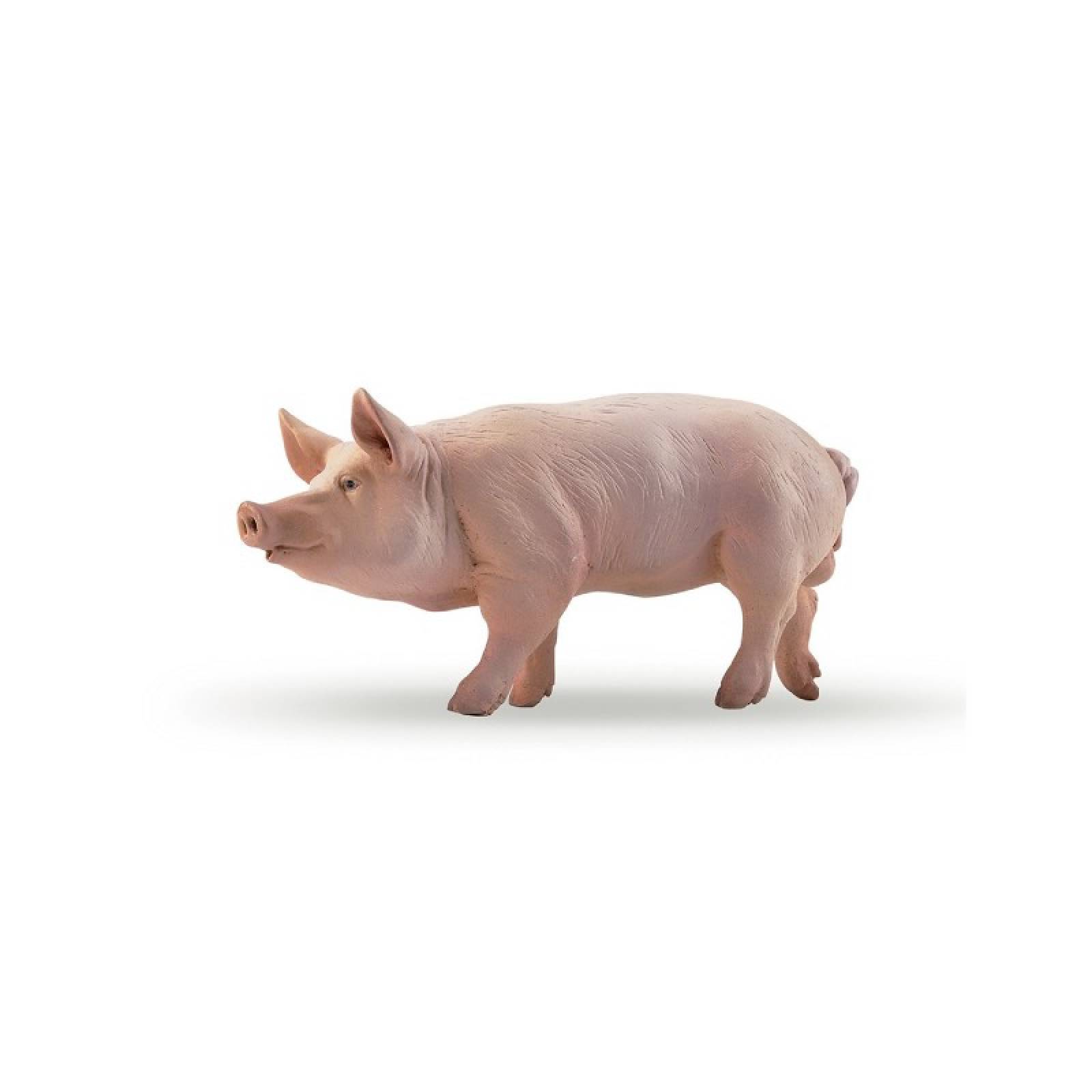 Pink Pig Boar - Papo Animal Figure