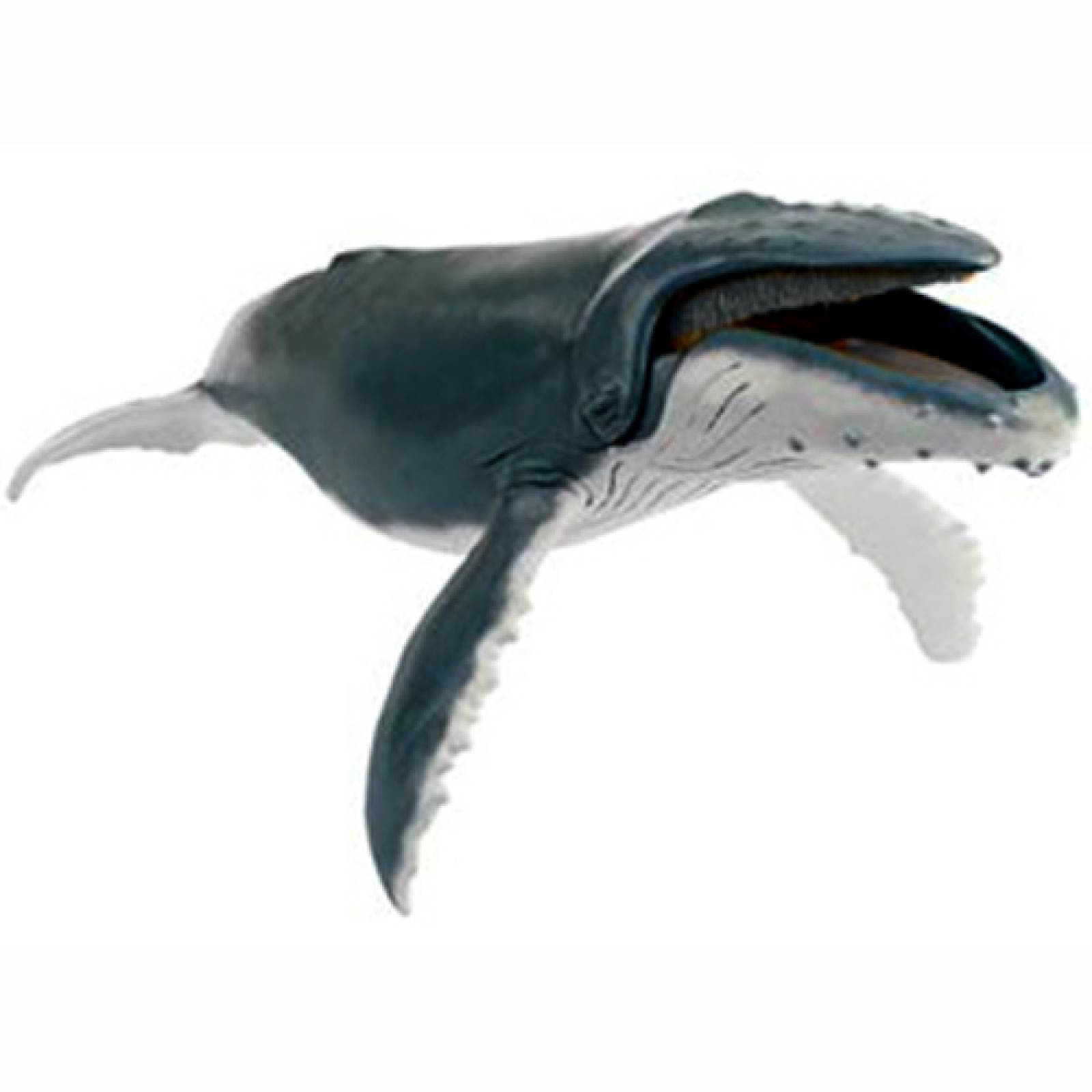 Humpback Whale - Papo Wild Animal Figure