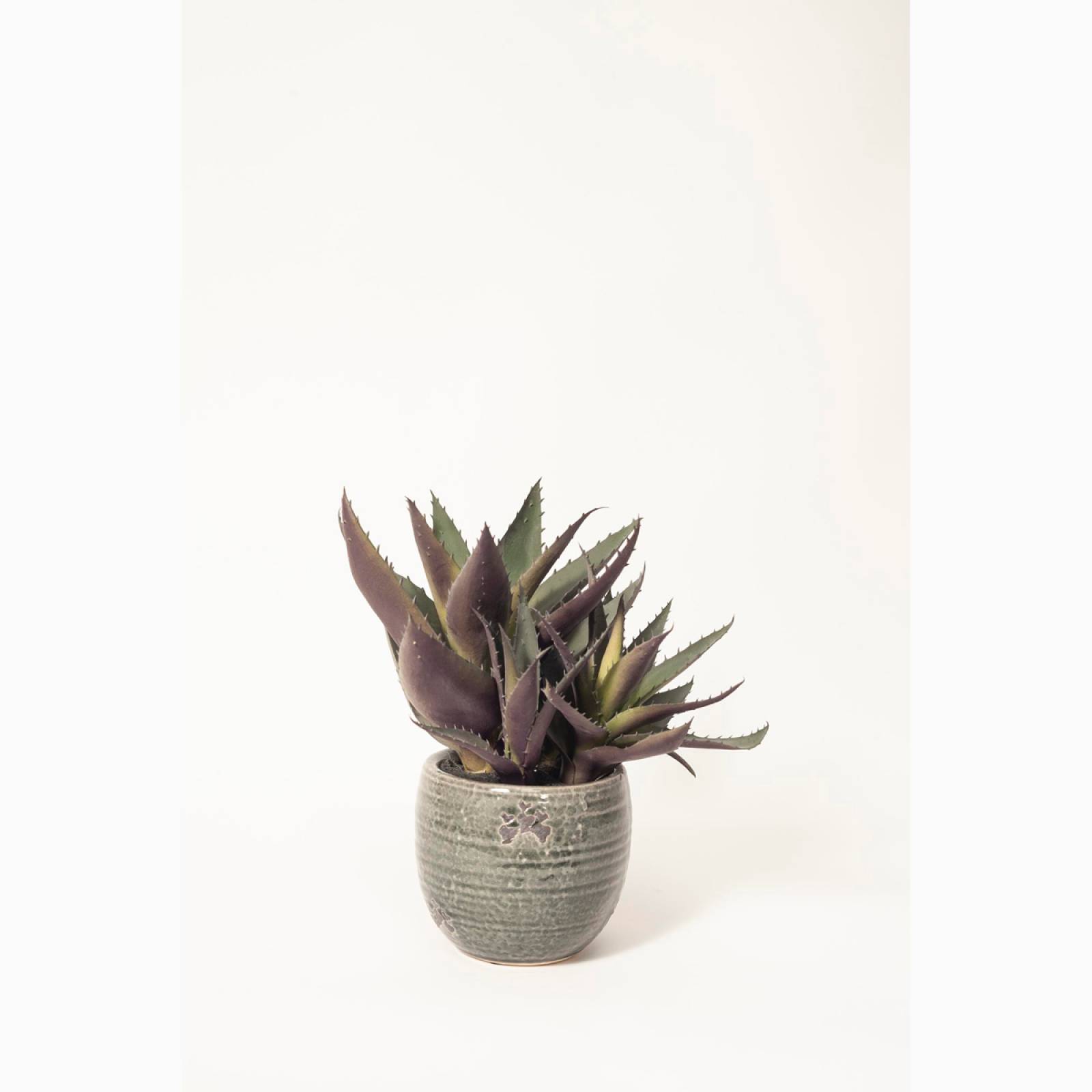 Small Faux Purple Aloe Plant In Clay Pot H:30cm