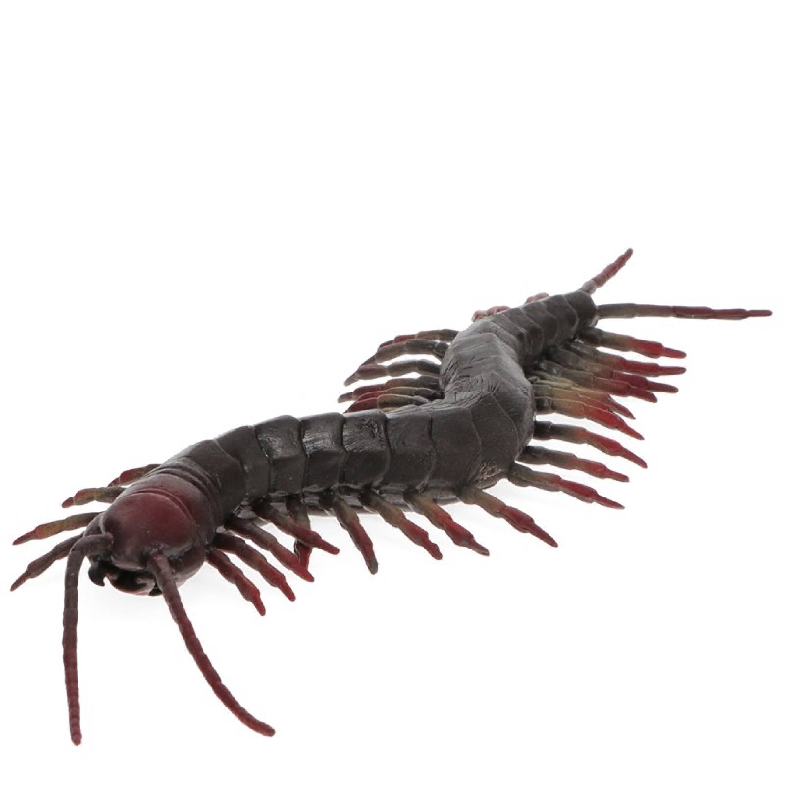 Realistic Centipede Insect Toy 3+