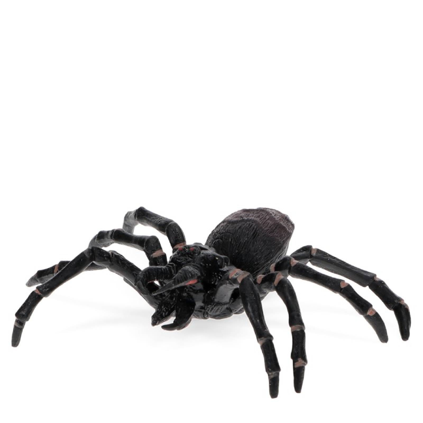 Realistic Tarantula Spider Toy 3+