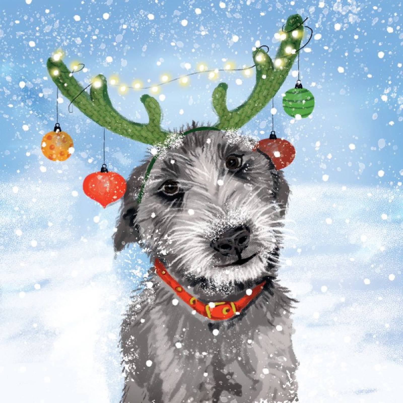 Reindog - Pack Of 8 Christmas Cards